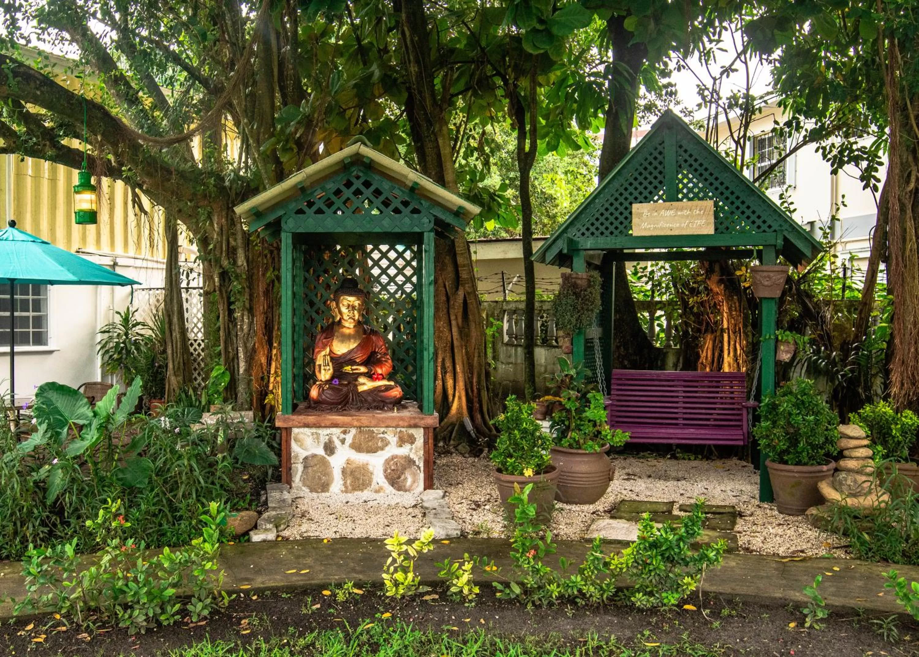 Activities in Harbour View Boutique Hotel & Wellness Retreat