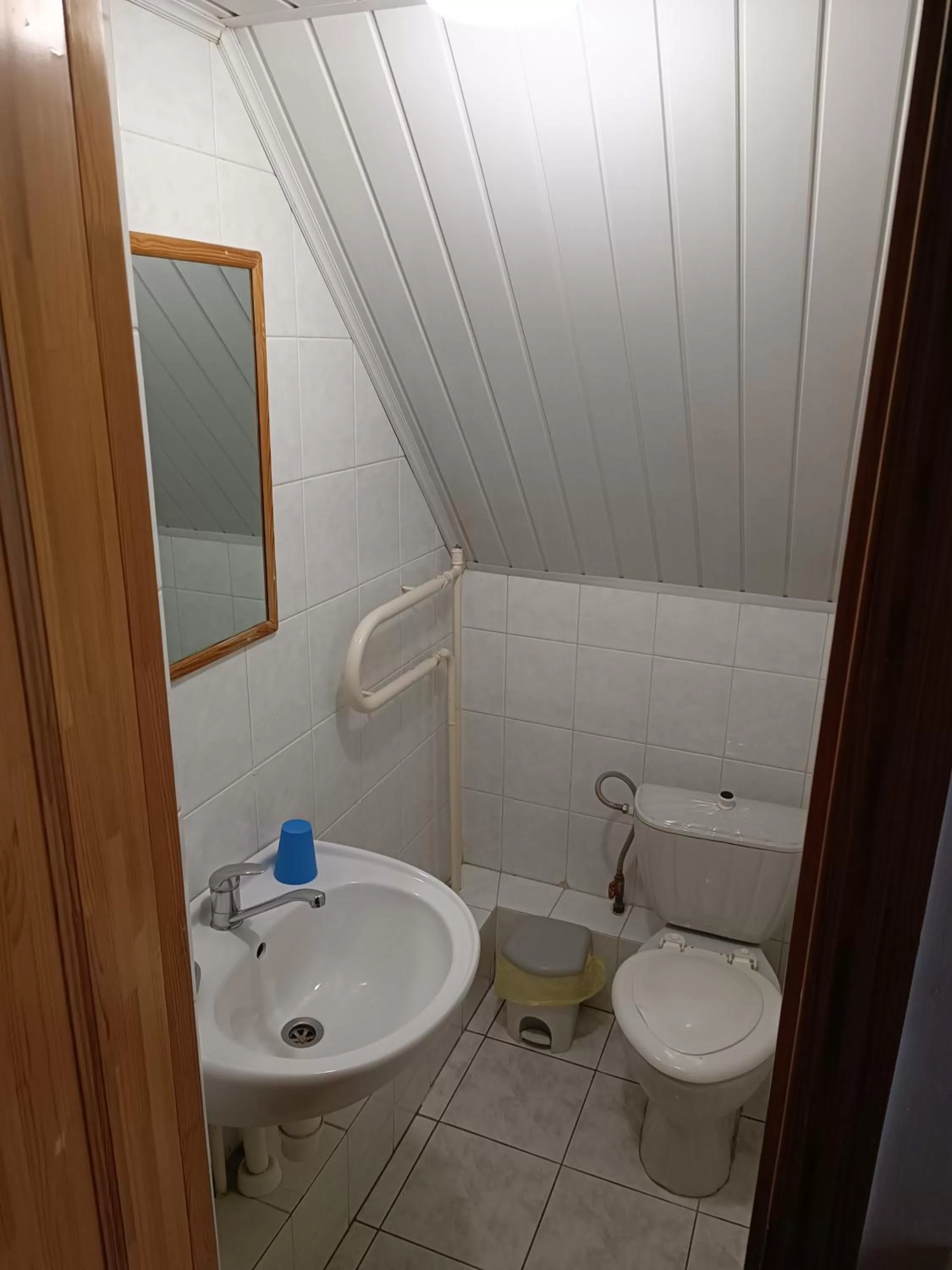 Toilet, Bathroom in Rugelis