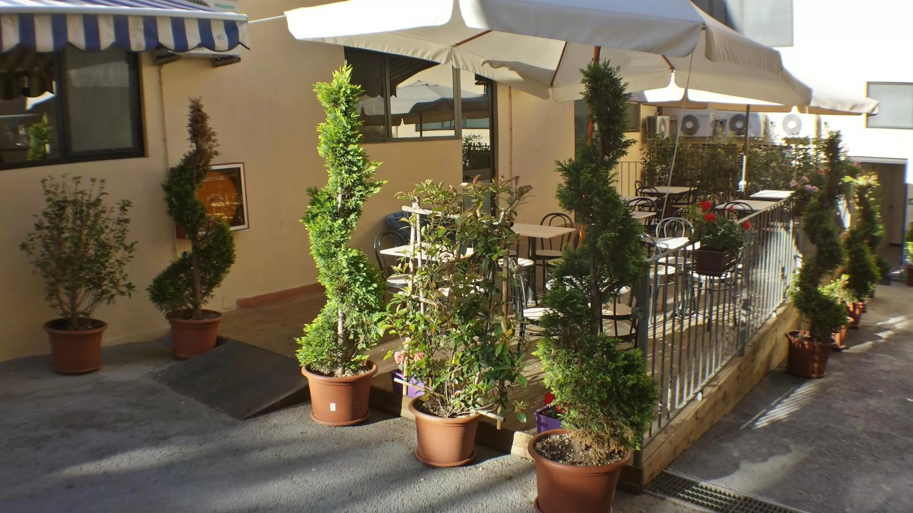 Patio in Hotel Firenze 2000
