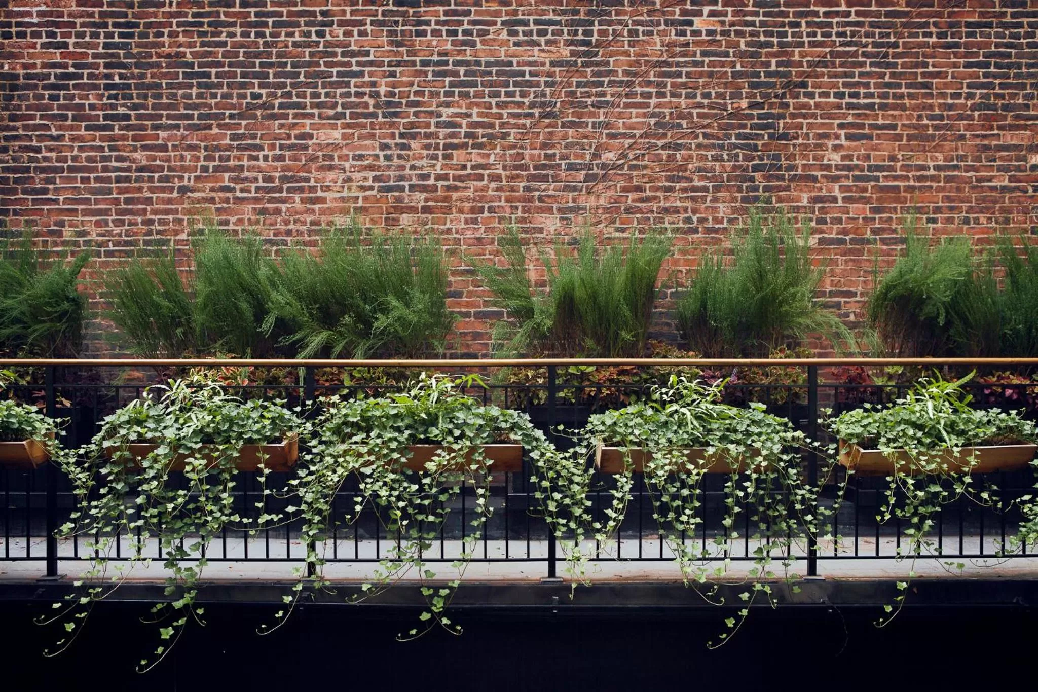 Garden in The Broome