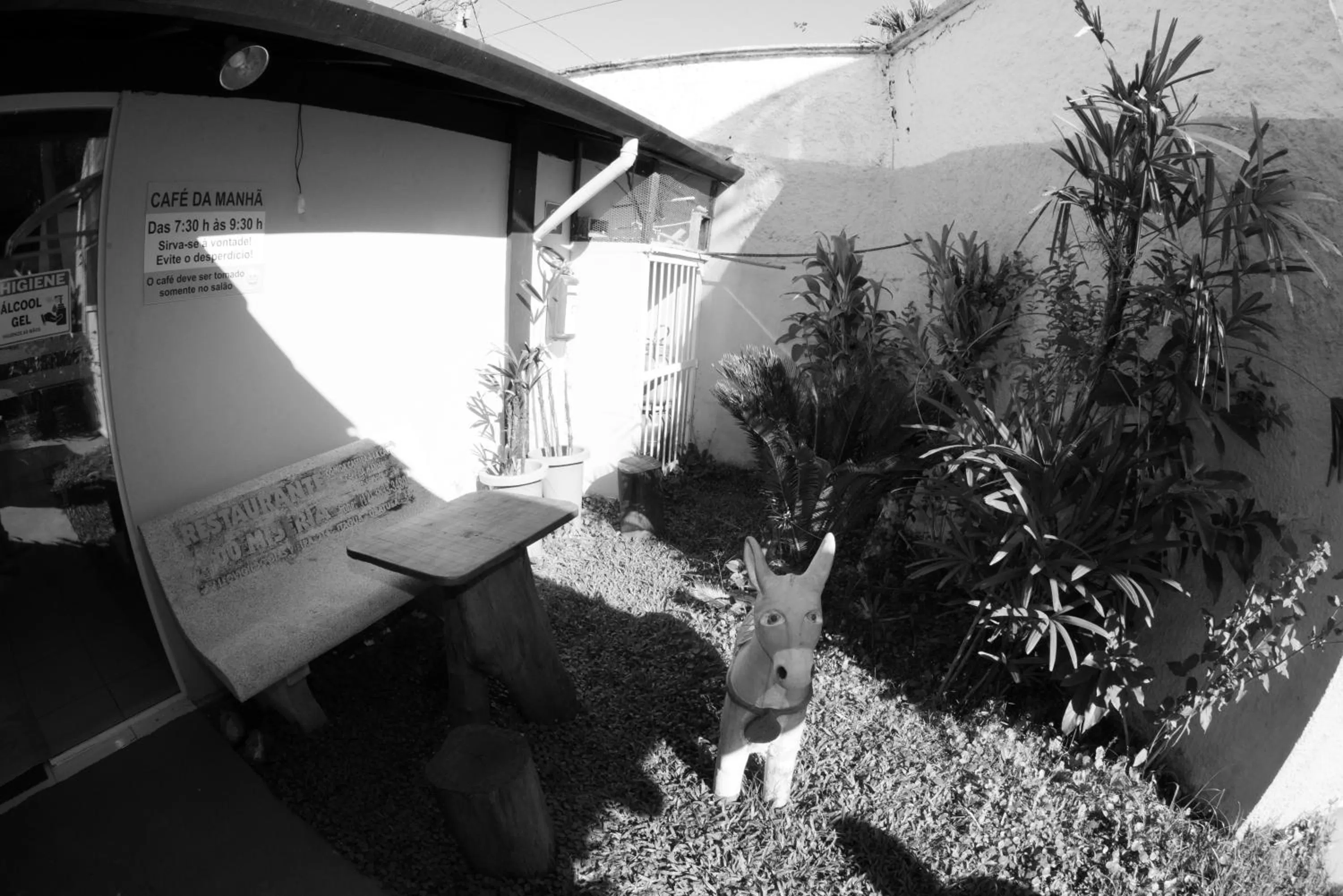 Garden view in Pousada Viva Ubatuba