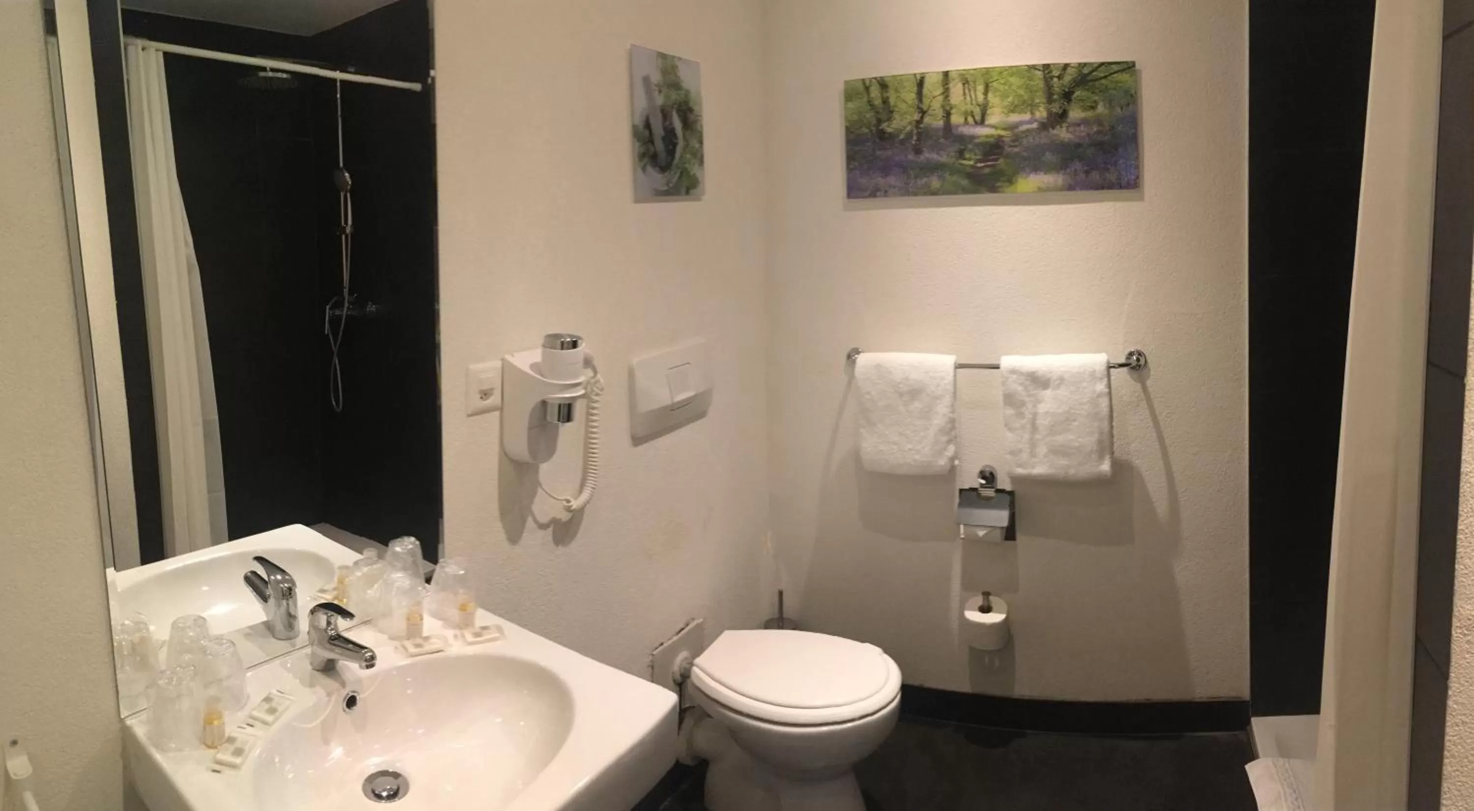 Shower in Hotel Parc & Lac