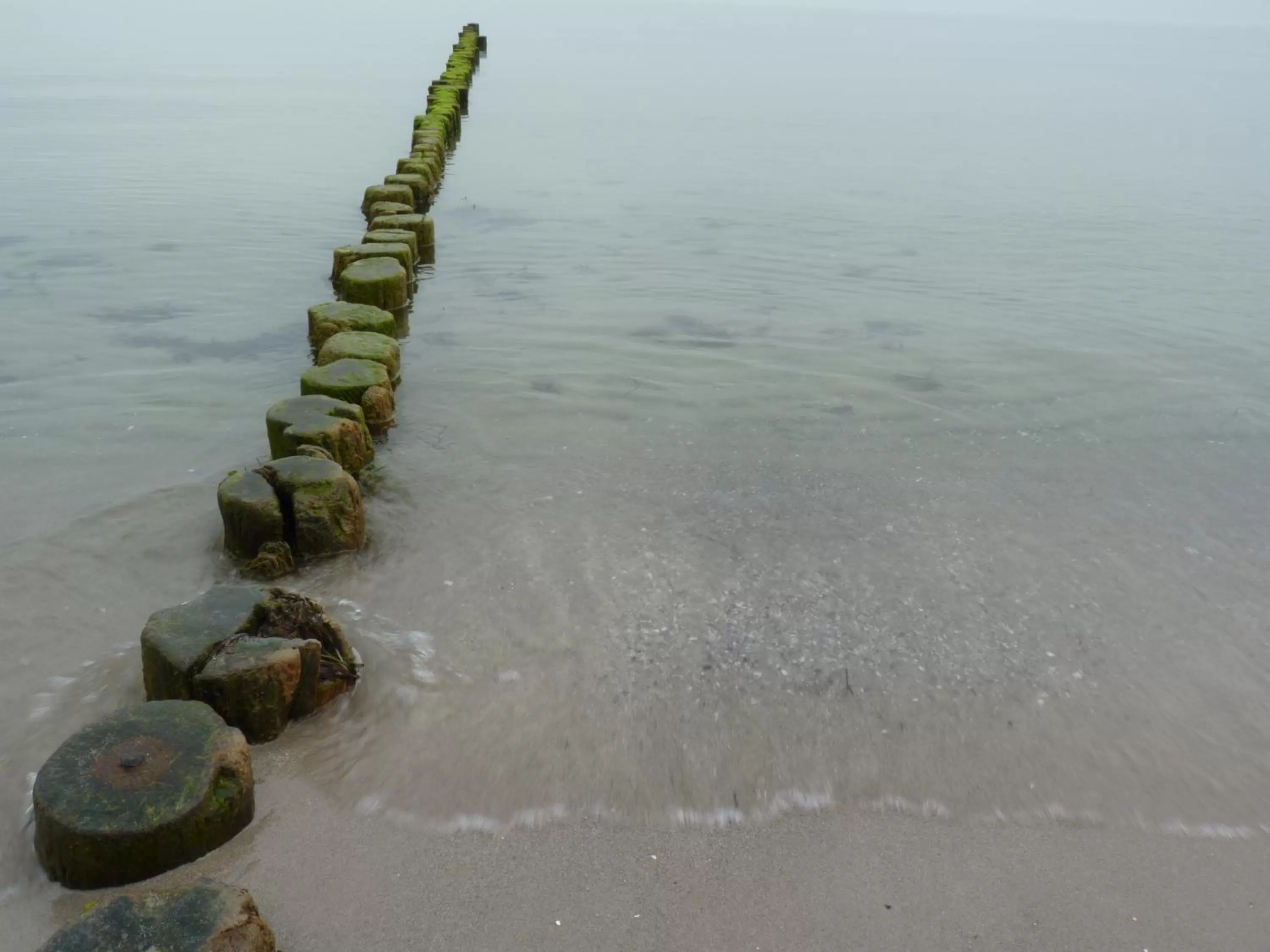 Natural landscape, Beach in Hotel Am Markt