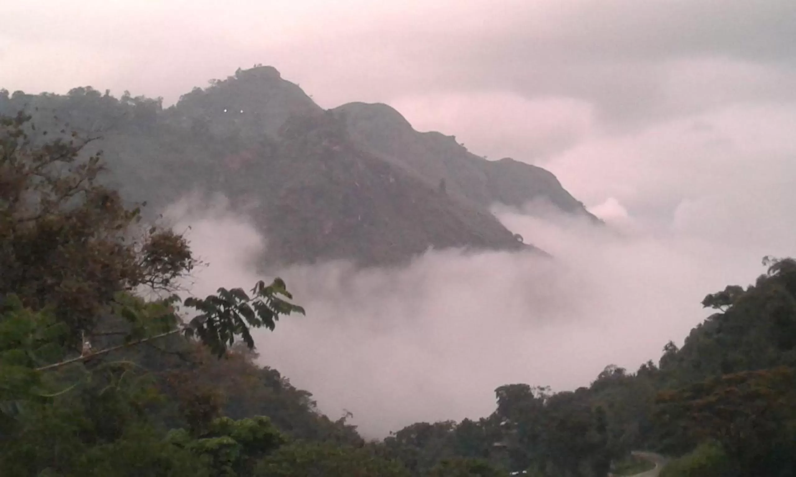 Ella Lucky Panoramic