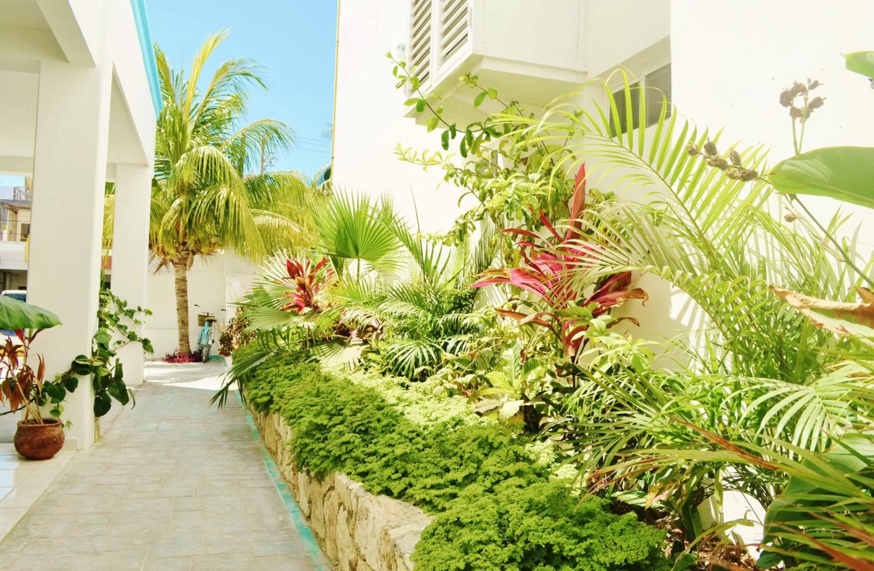 Day in Corales Suites