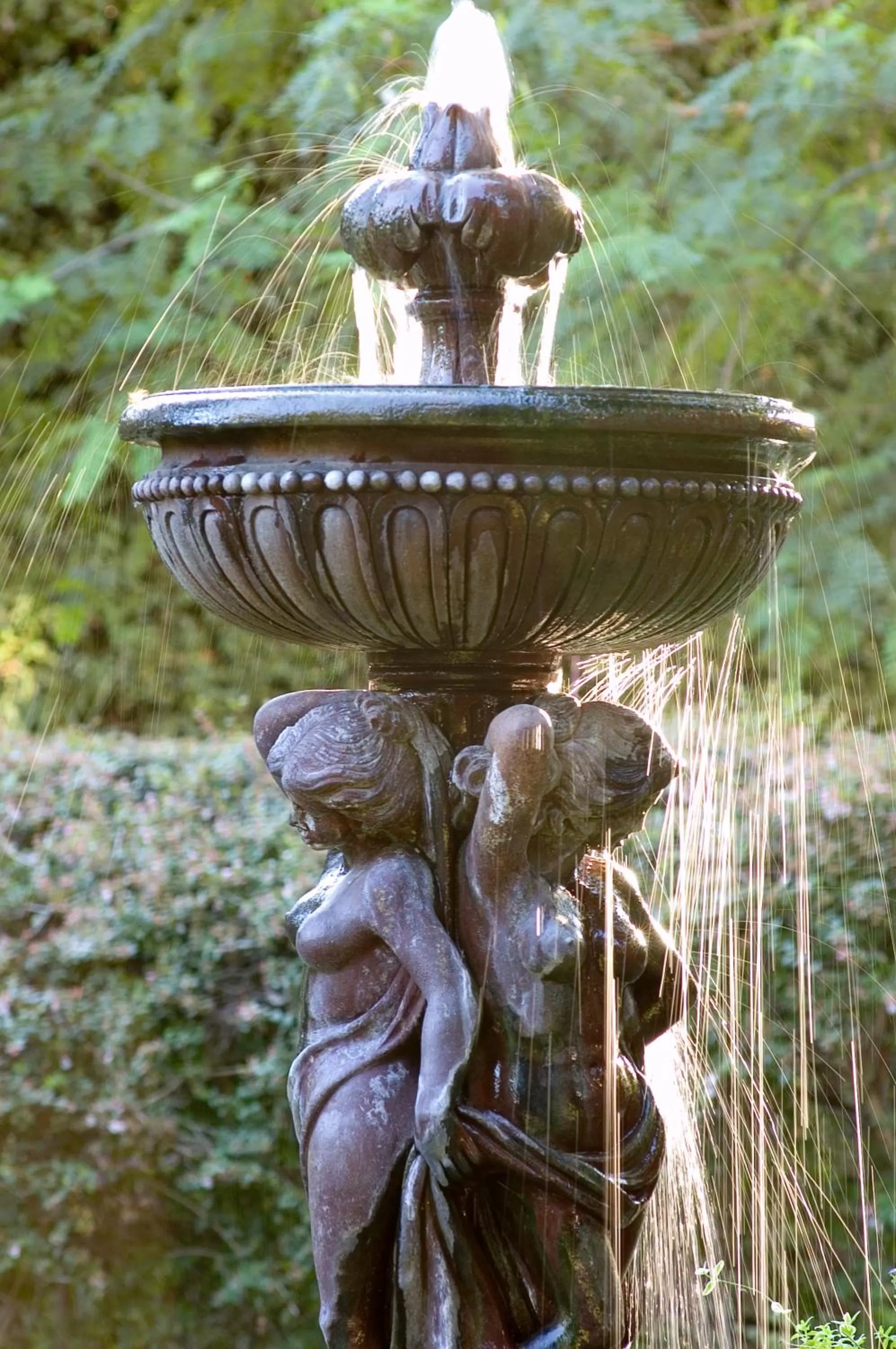 Day in Simpson House Inn