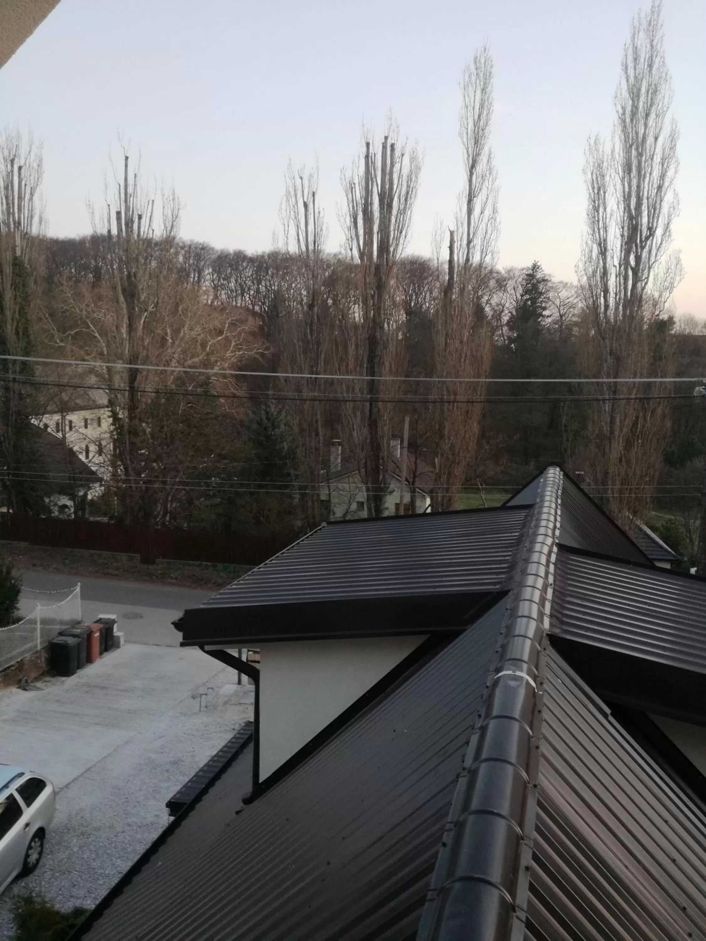 Neighbourhood, Winter in Spa & Pool Apartment Hotel - Restaurant VILLA IVICA