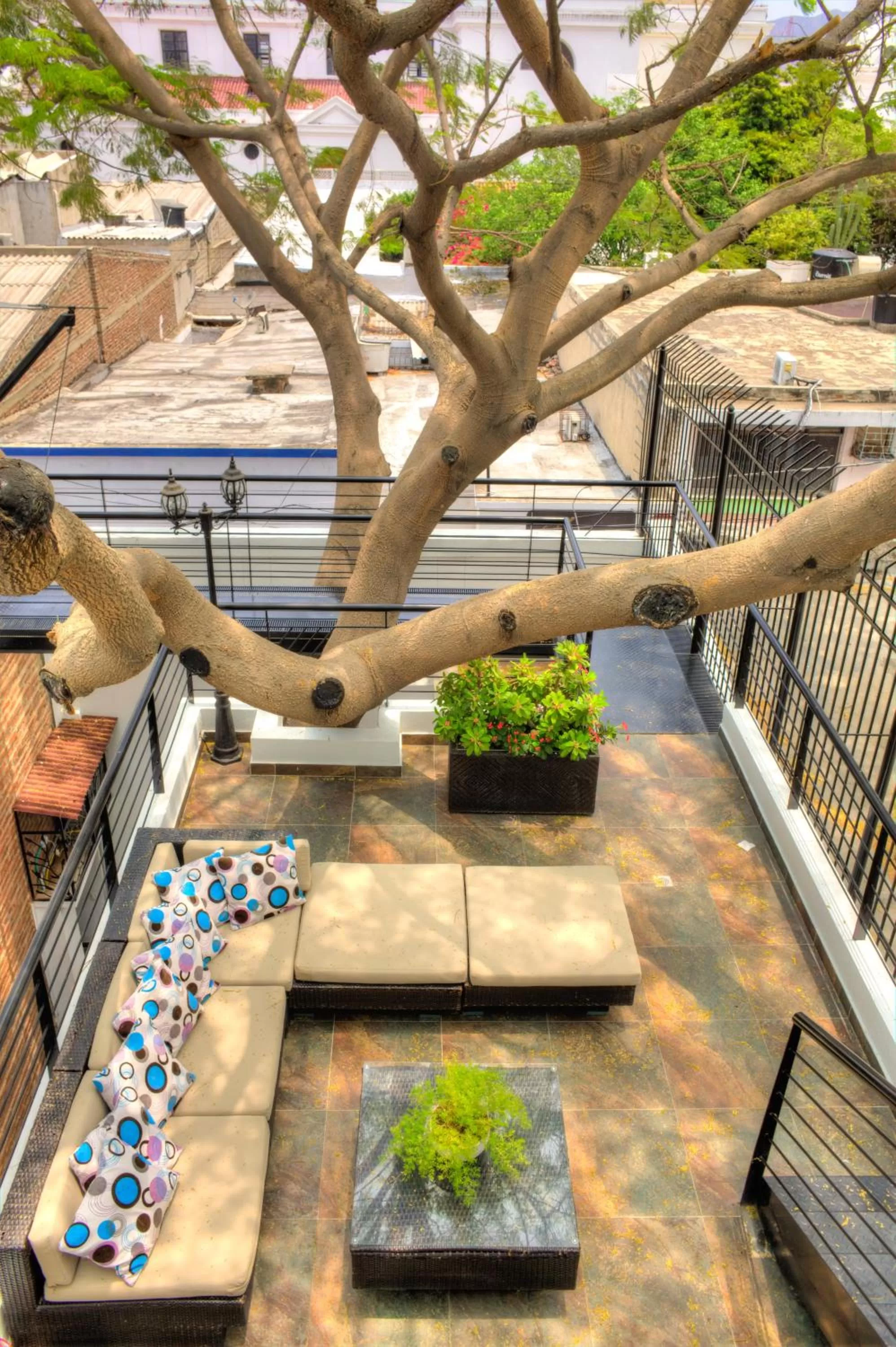 Lounge or bar in Casa de Leda, a Kali Hotel