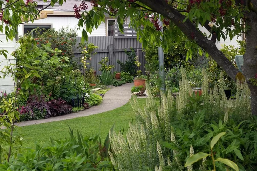 Garden in Magnolia House
