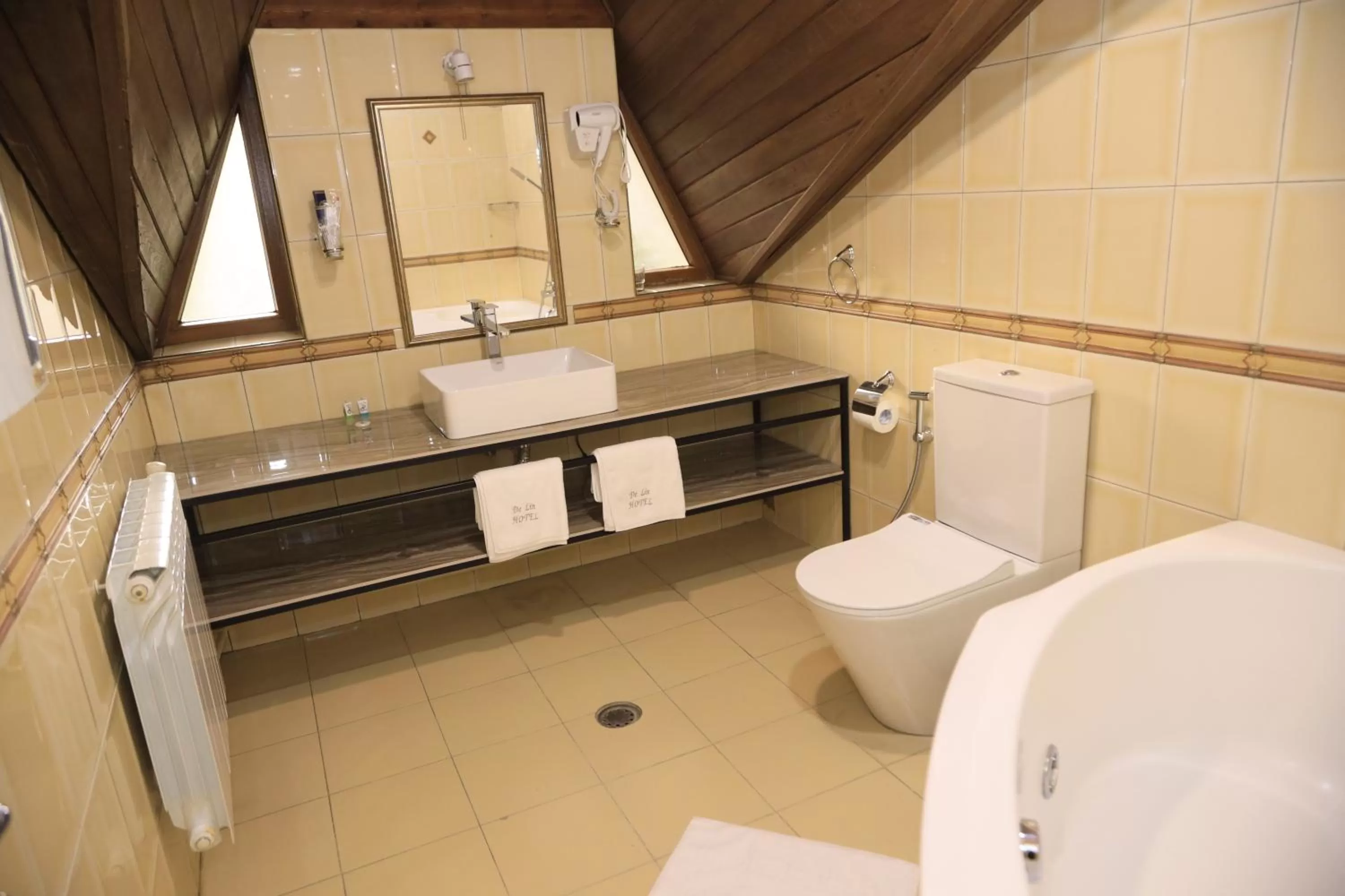 Shower, Bathroom in DeLin Hotel And Tours