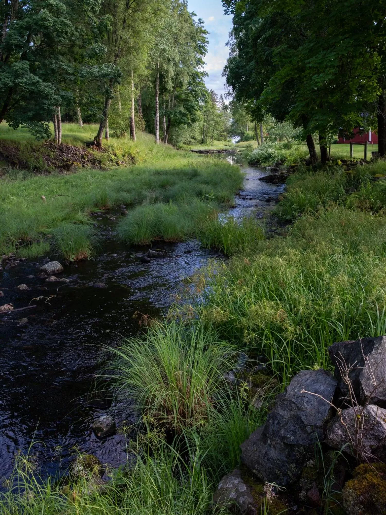 Day, Natural Landscape in Sikfors Herrgård