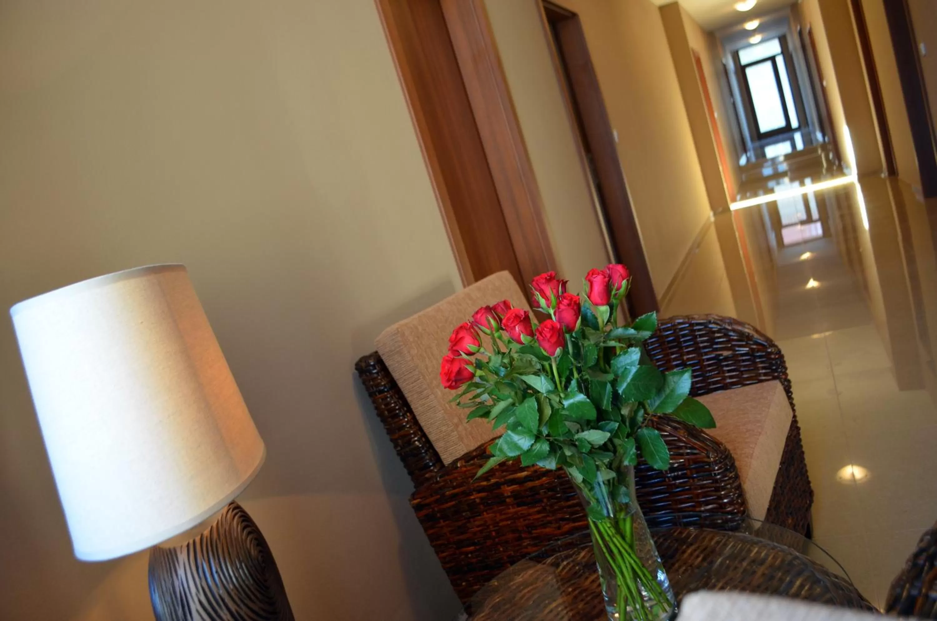 Area and facilities in Hotel U Kvapilů