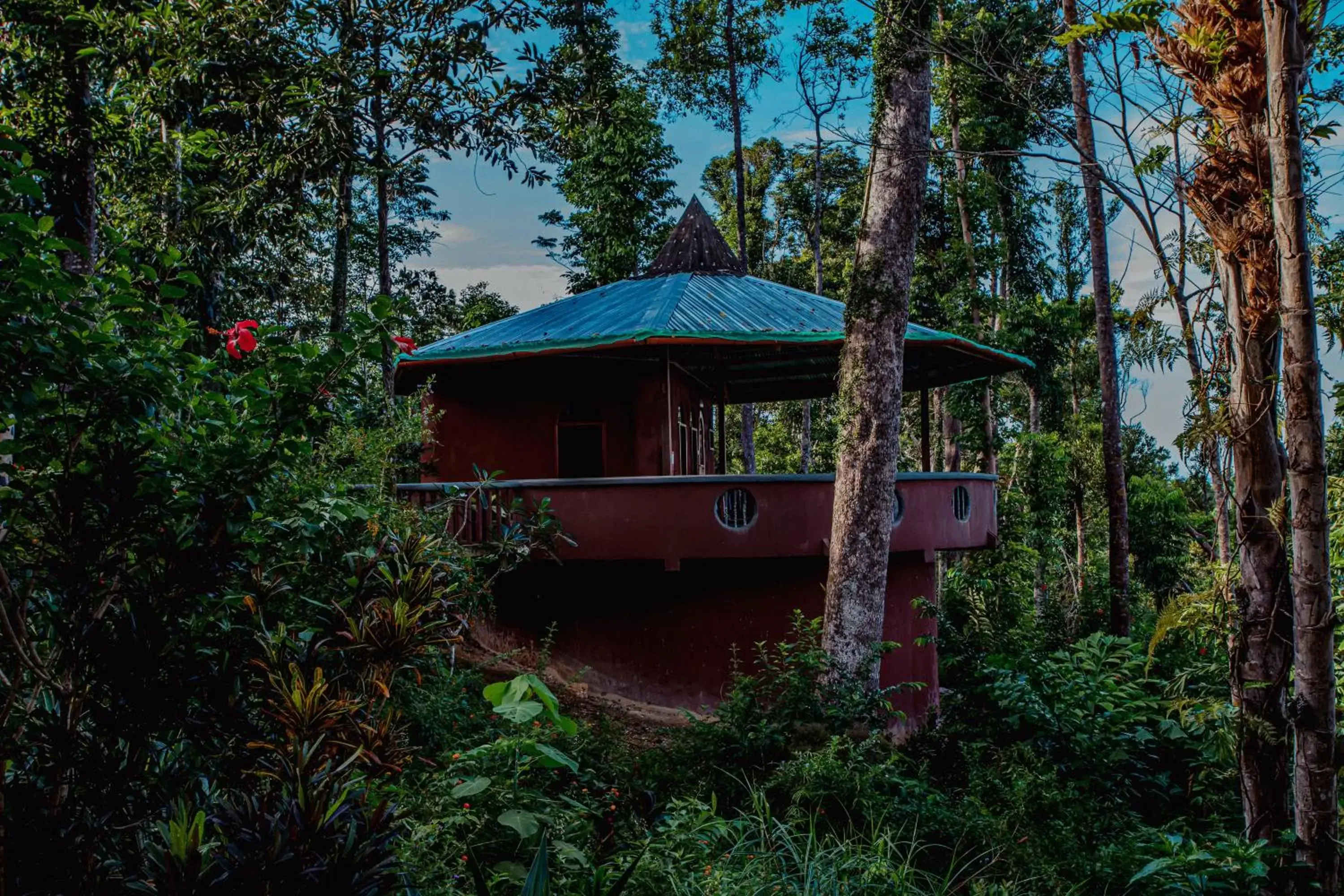 Deluxe Queen Suite in Atremaru Jungle Retreat Deluxe Queen Suite in Atremaru Jungle Retreat