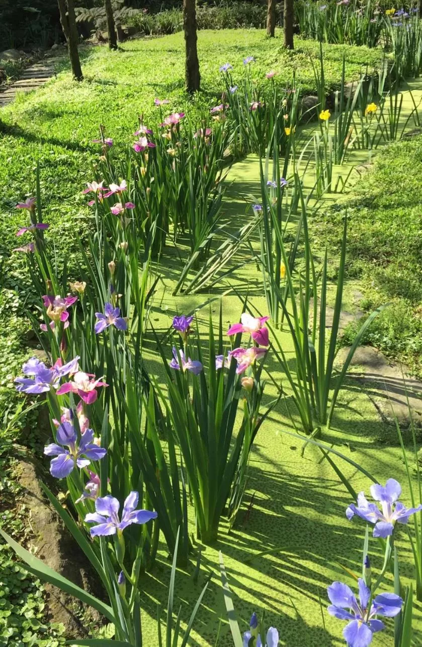 Garden in Rainbow Bridge B&B