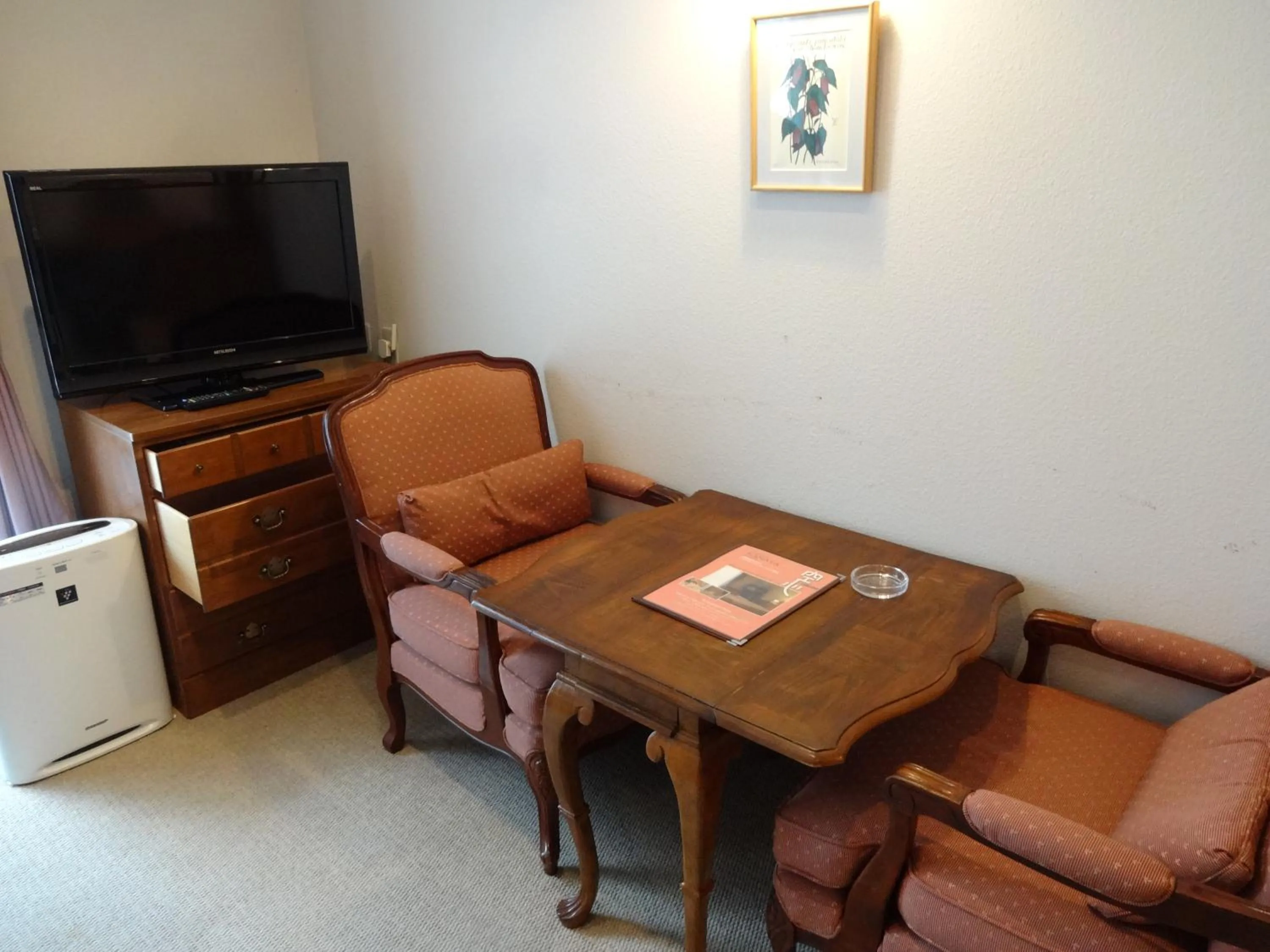 TV and multimedia in Chuzenji Kanaya Hotel