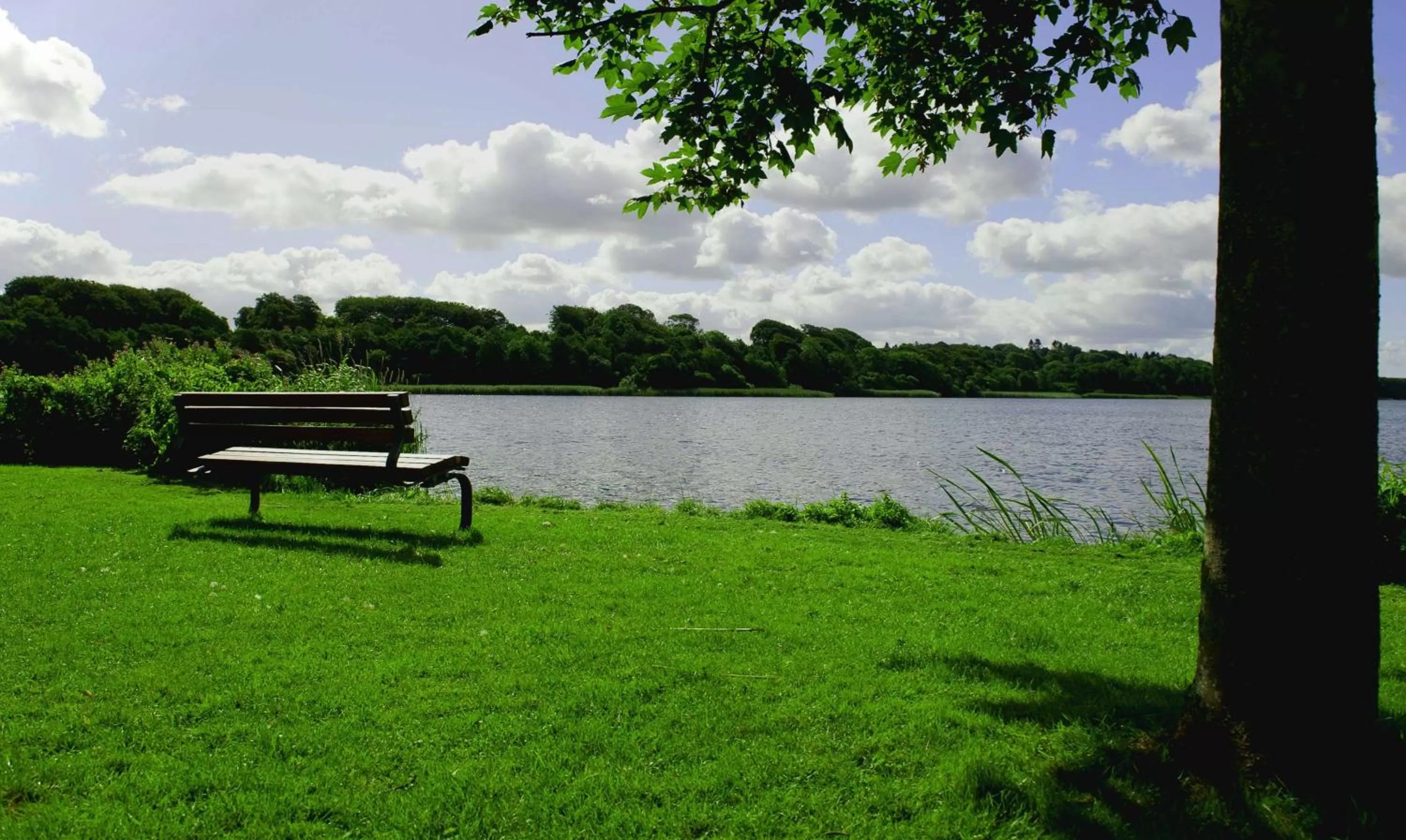 On site in Golf Hotel Viborg