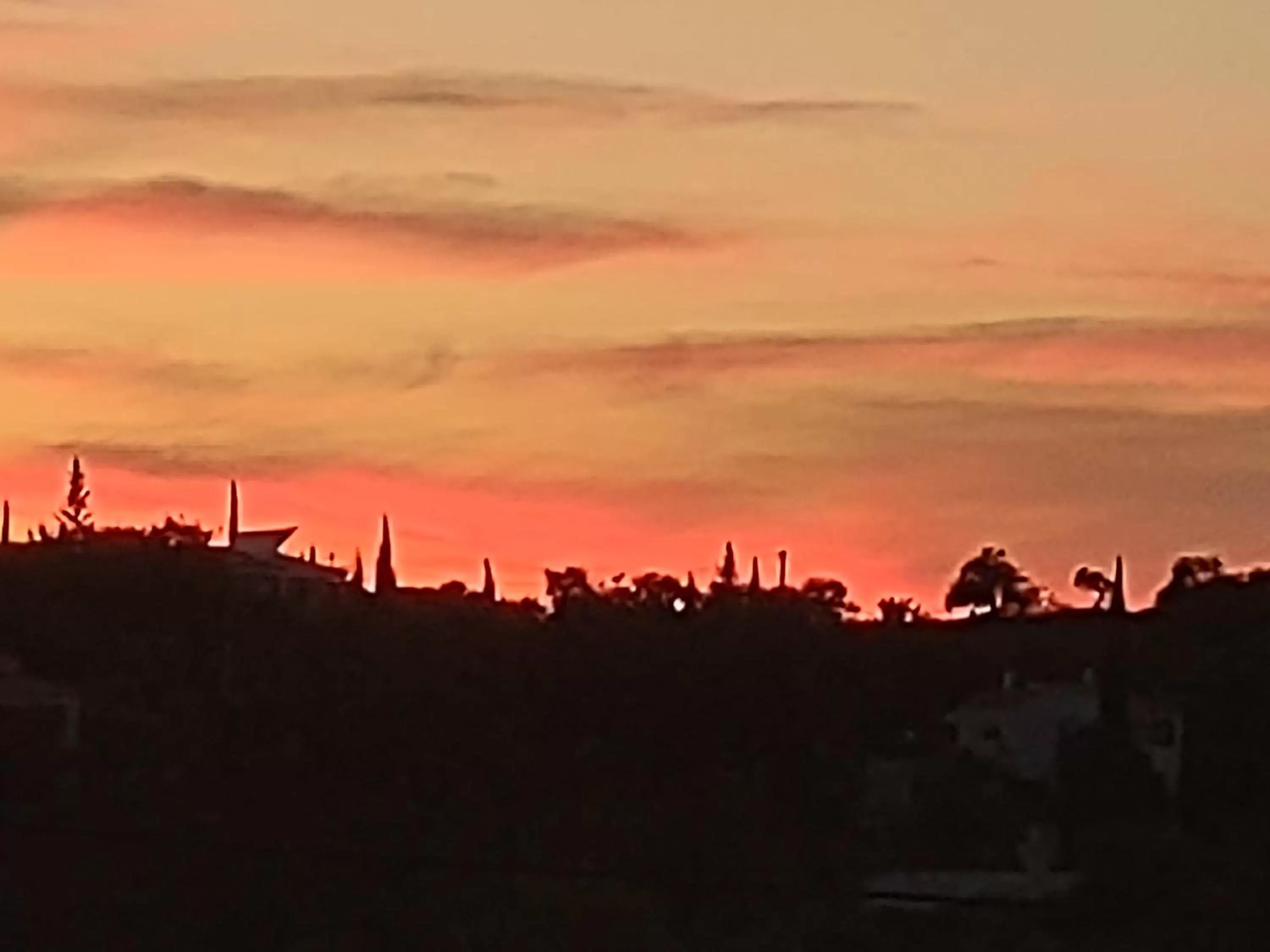 View (from property/room) in Suites Sunny hill