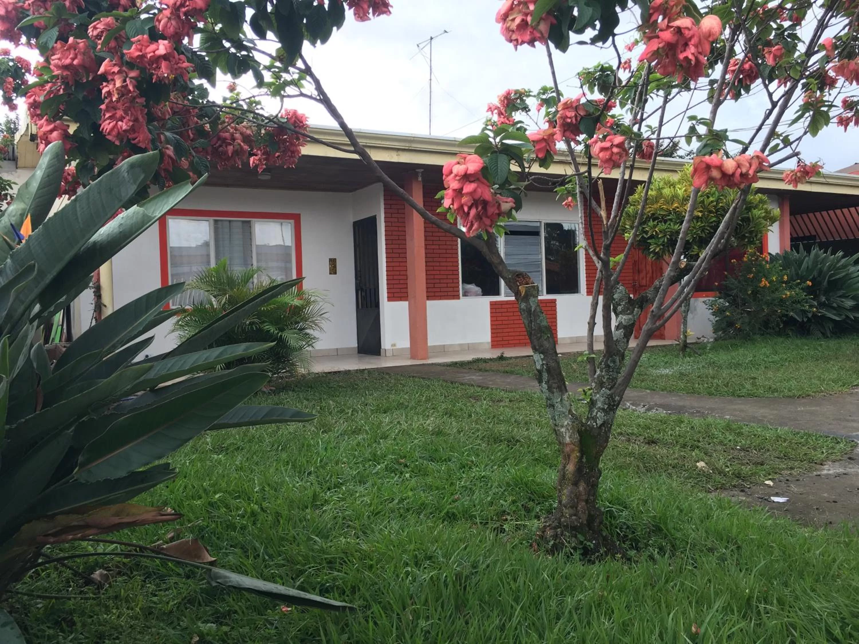 Street view in Hotel Your House