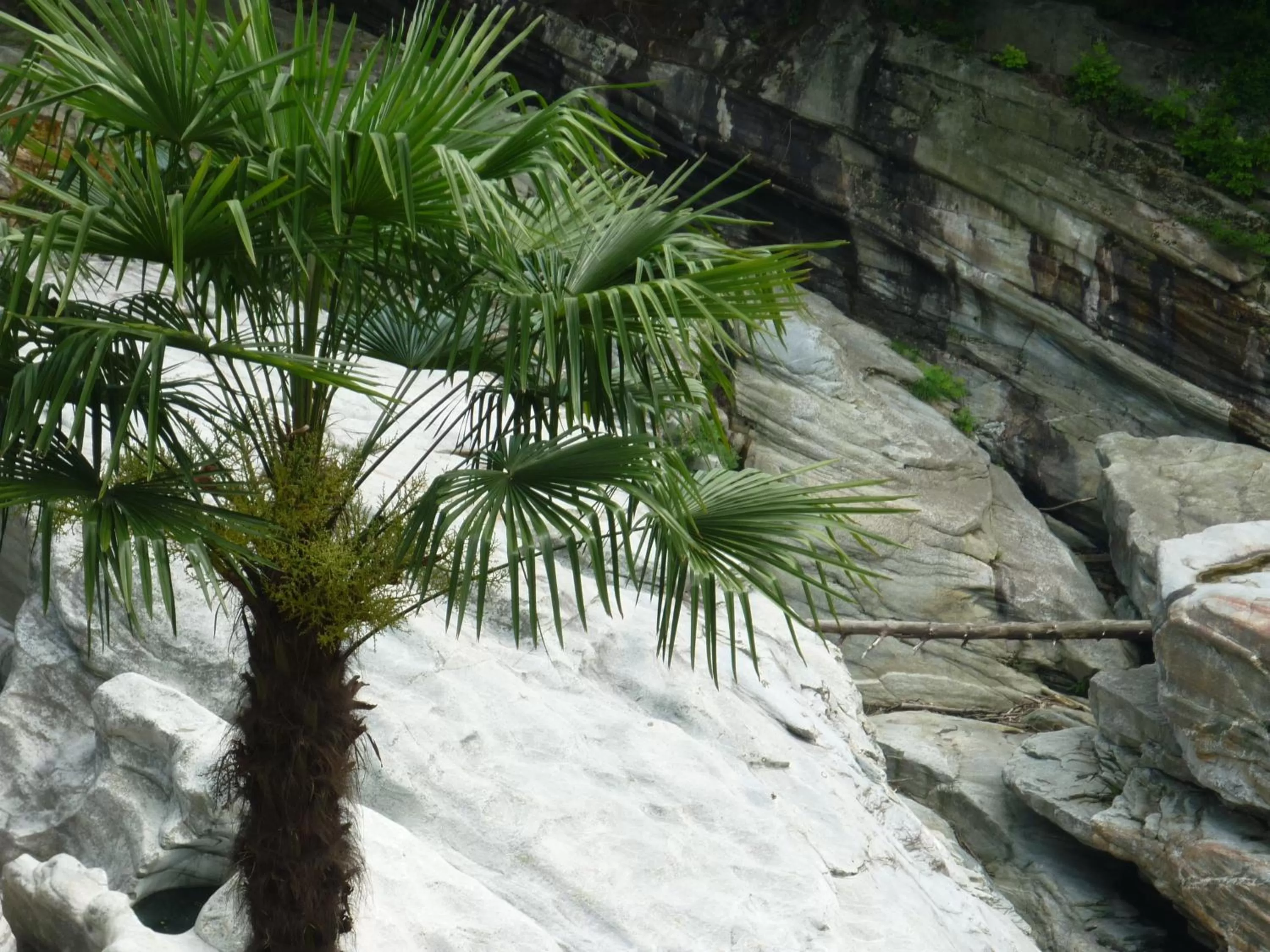 River view in Ristorante Charme Hotel Tre Terre