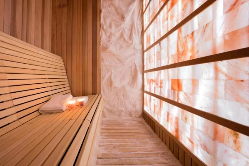 Sauna in Elegans Hotel Brdo
