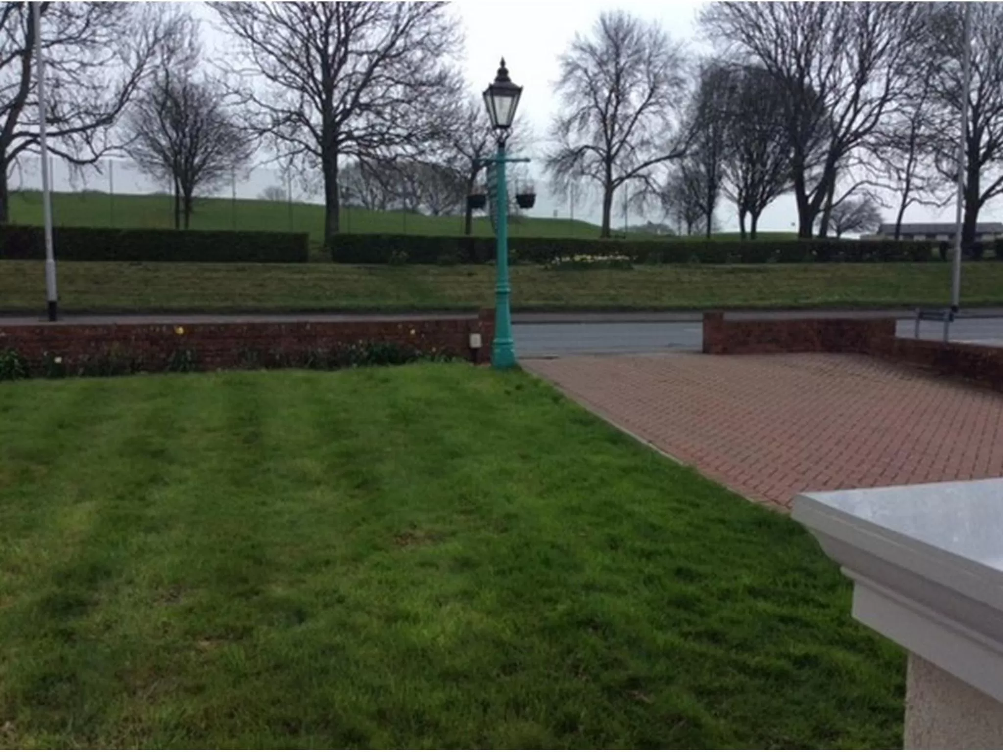 Garden in Alma Lodge Guest House