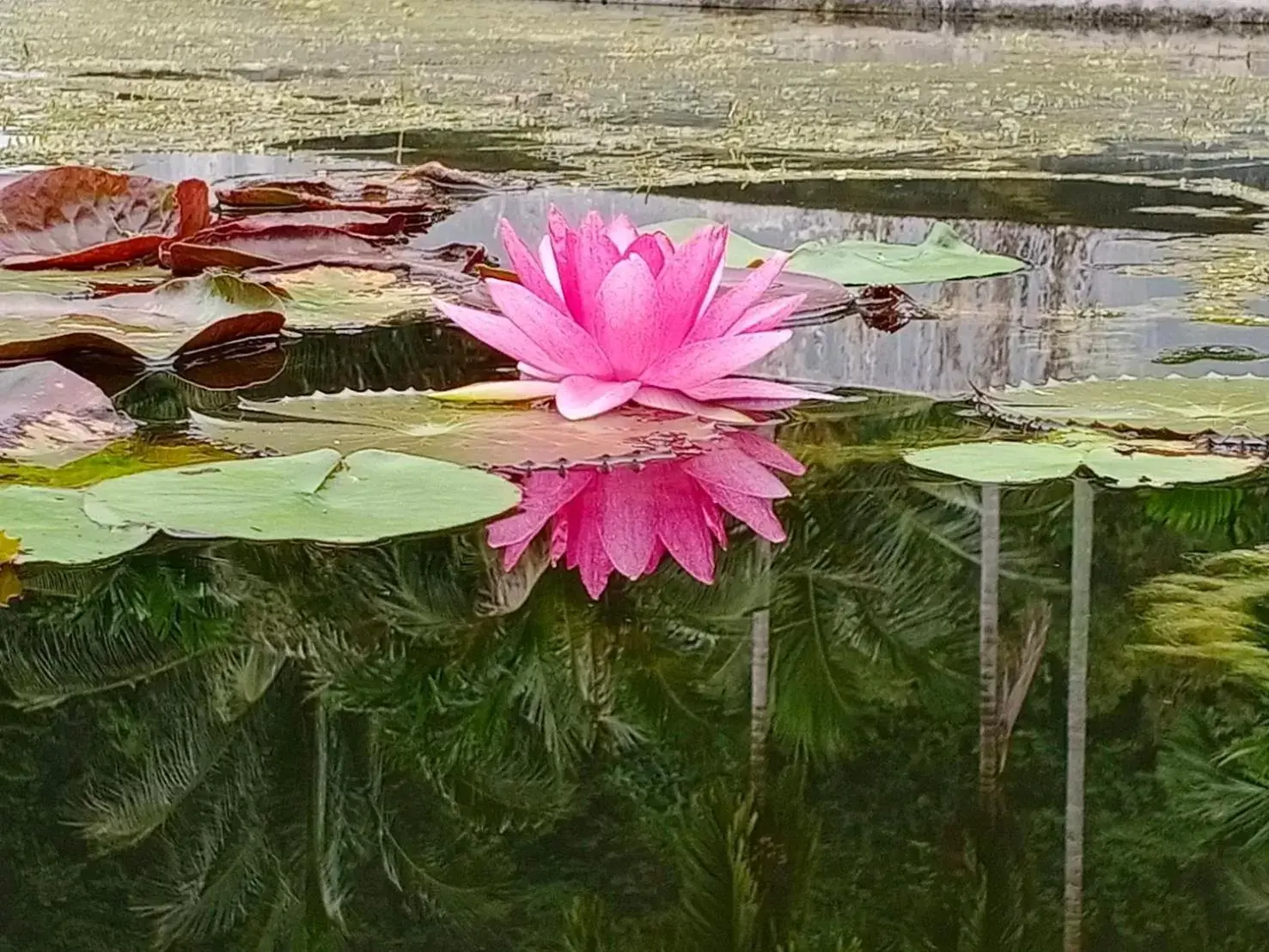 Arawan Beach Resort Krabi Arawan Beach Resort Krabi