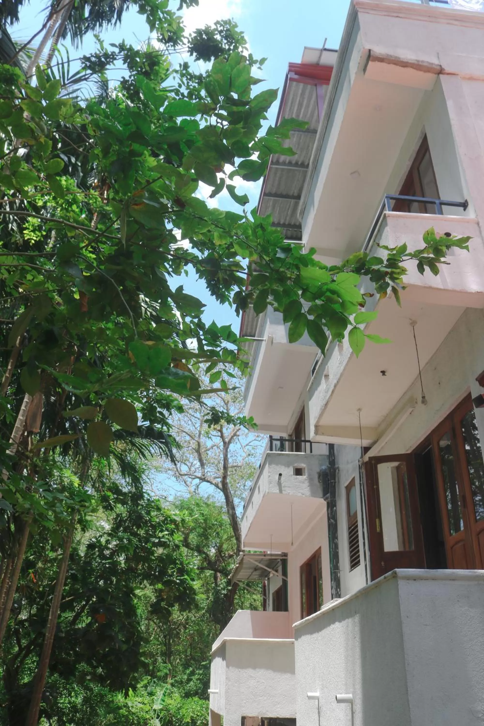 Garden view, Property Building in Divine Villa