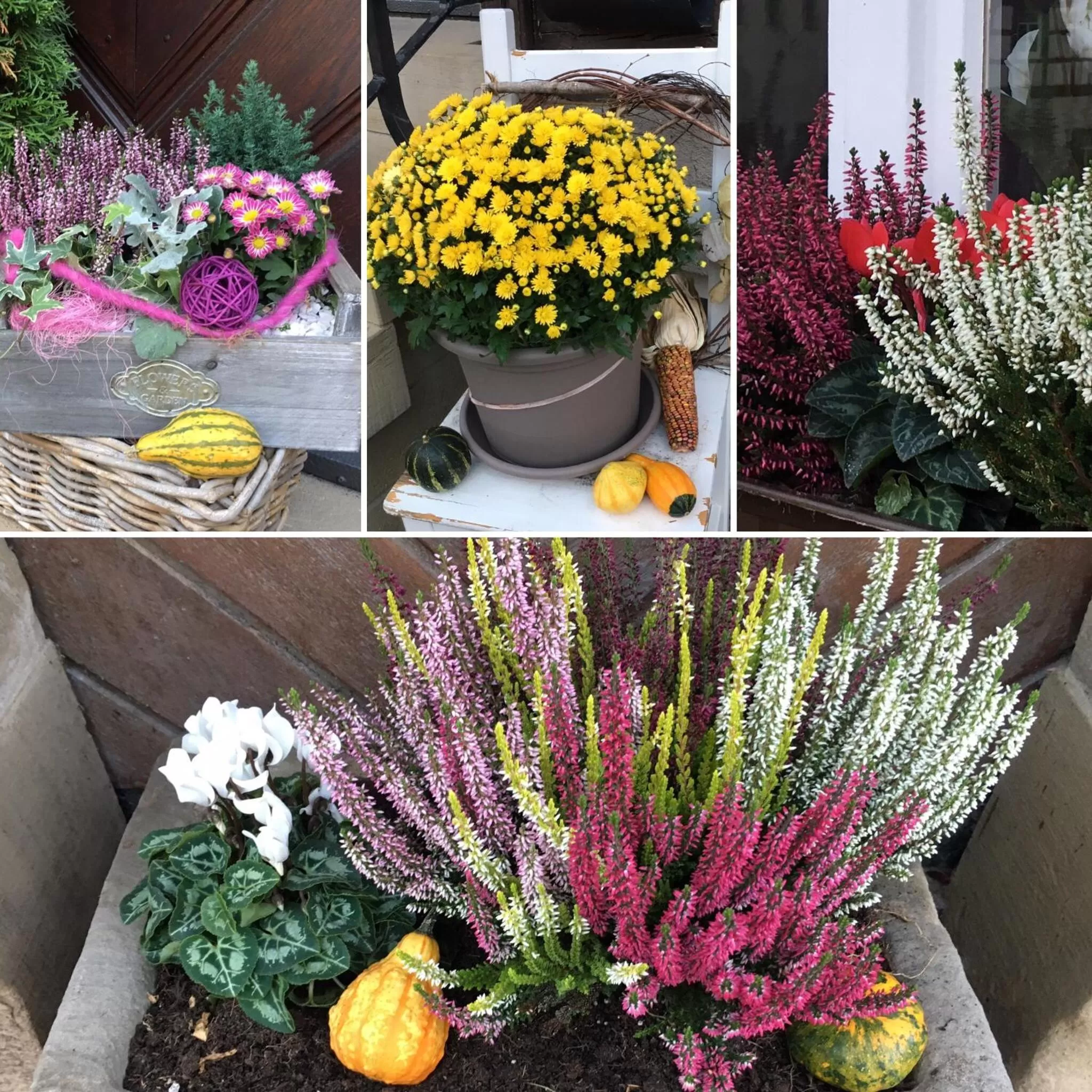 Facade/entrance in Gästehaus zur Sonne