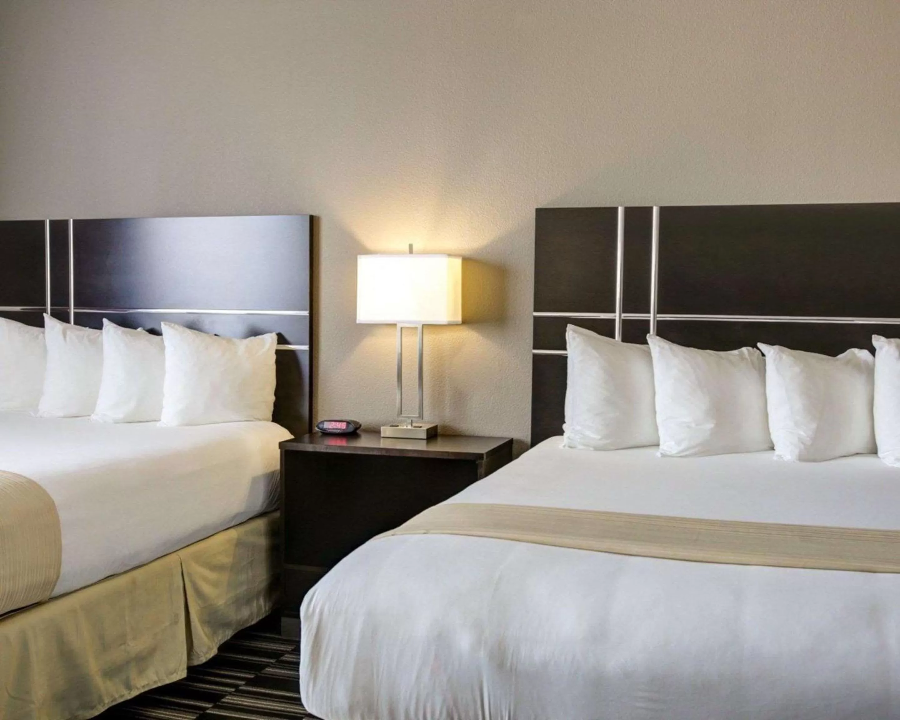 Photo of the whole room, Bed in Quality Inn & Suites Bryan-College Station