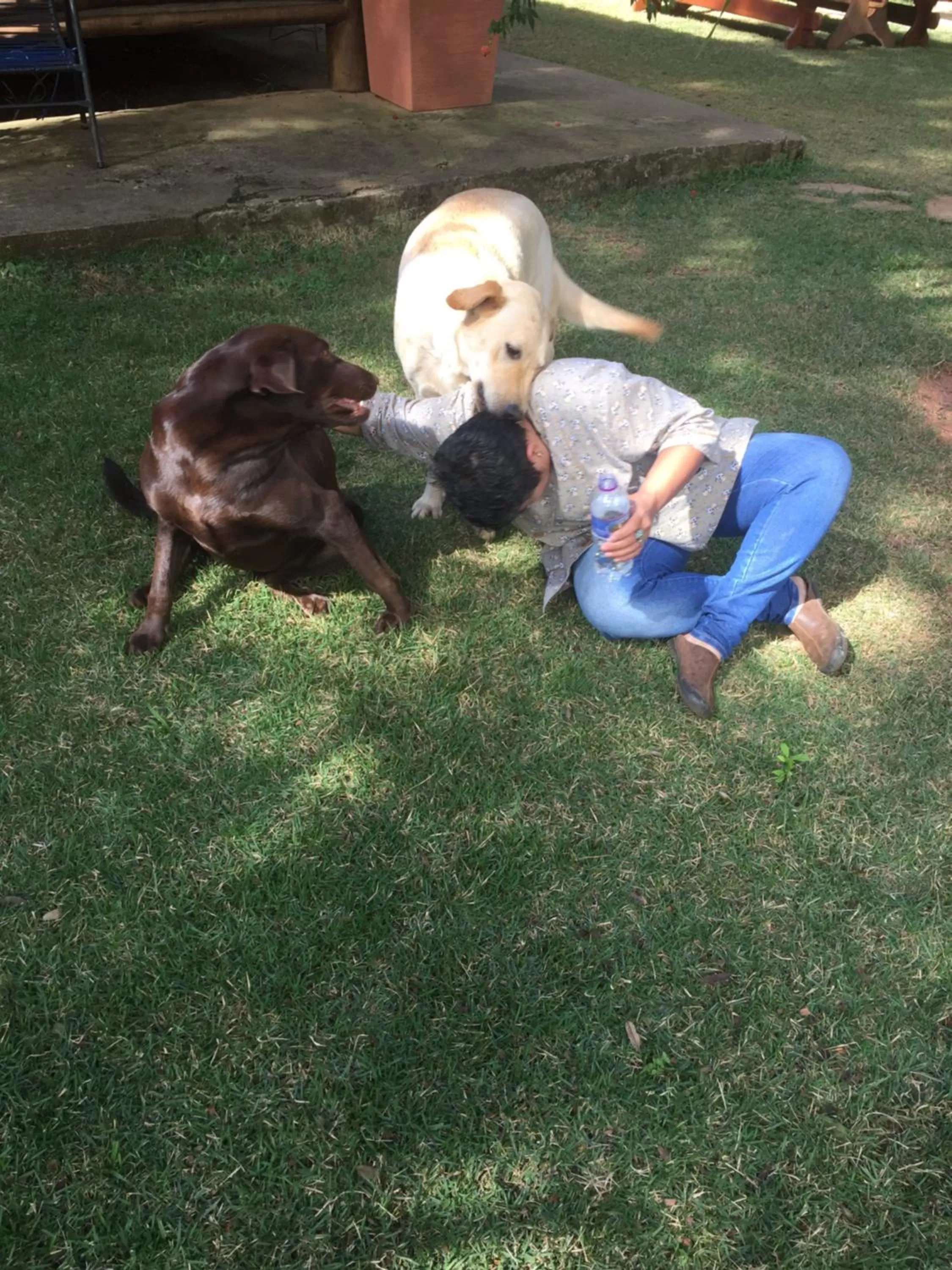 A Mi Manera Bistro, Pousada e Cervejaria Artesanal!