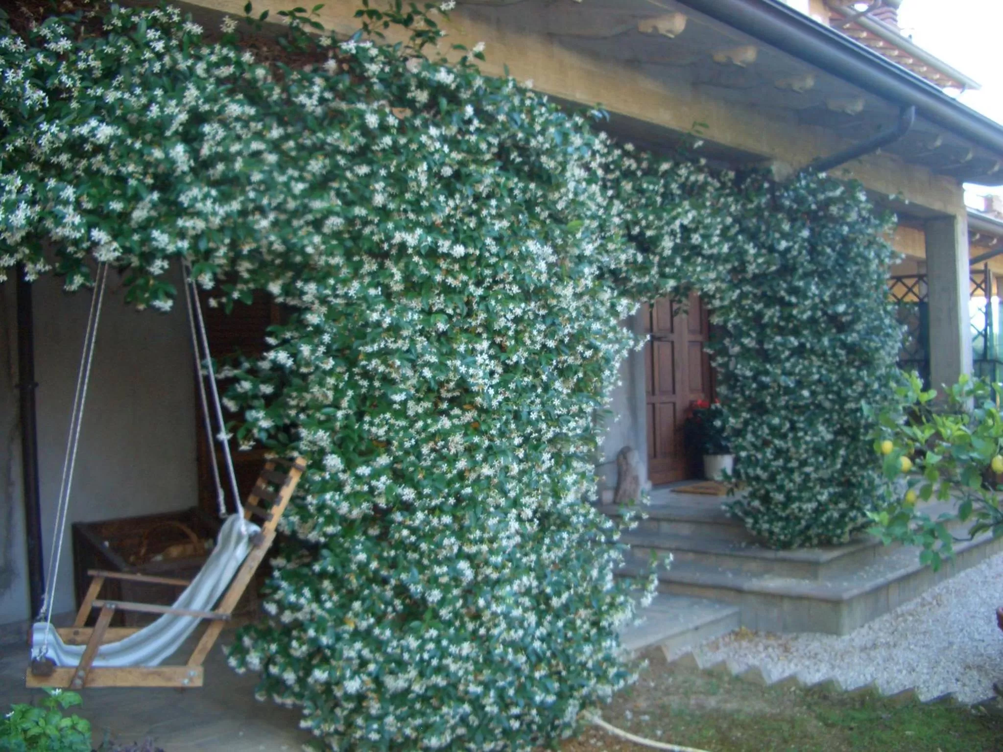 Property building in B&B Luce Riflessa