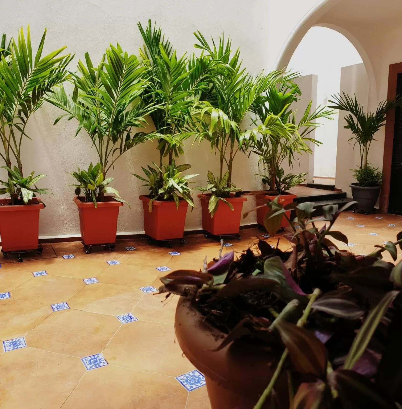 Property building in Hotel Catedral