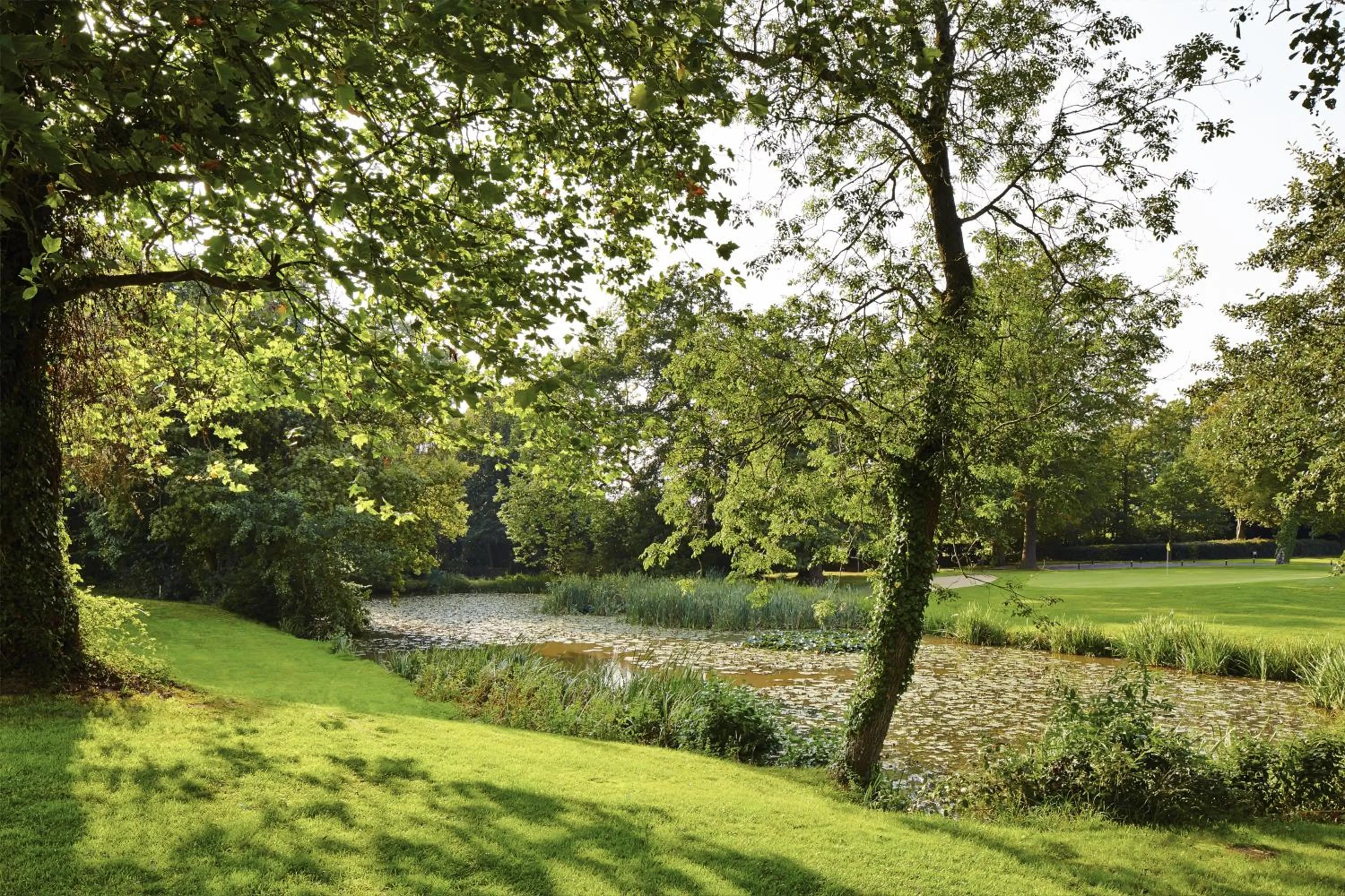 Facade/entrance in Meon Valley Hotel, Spa & Golf
