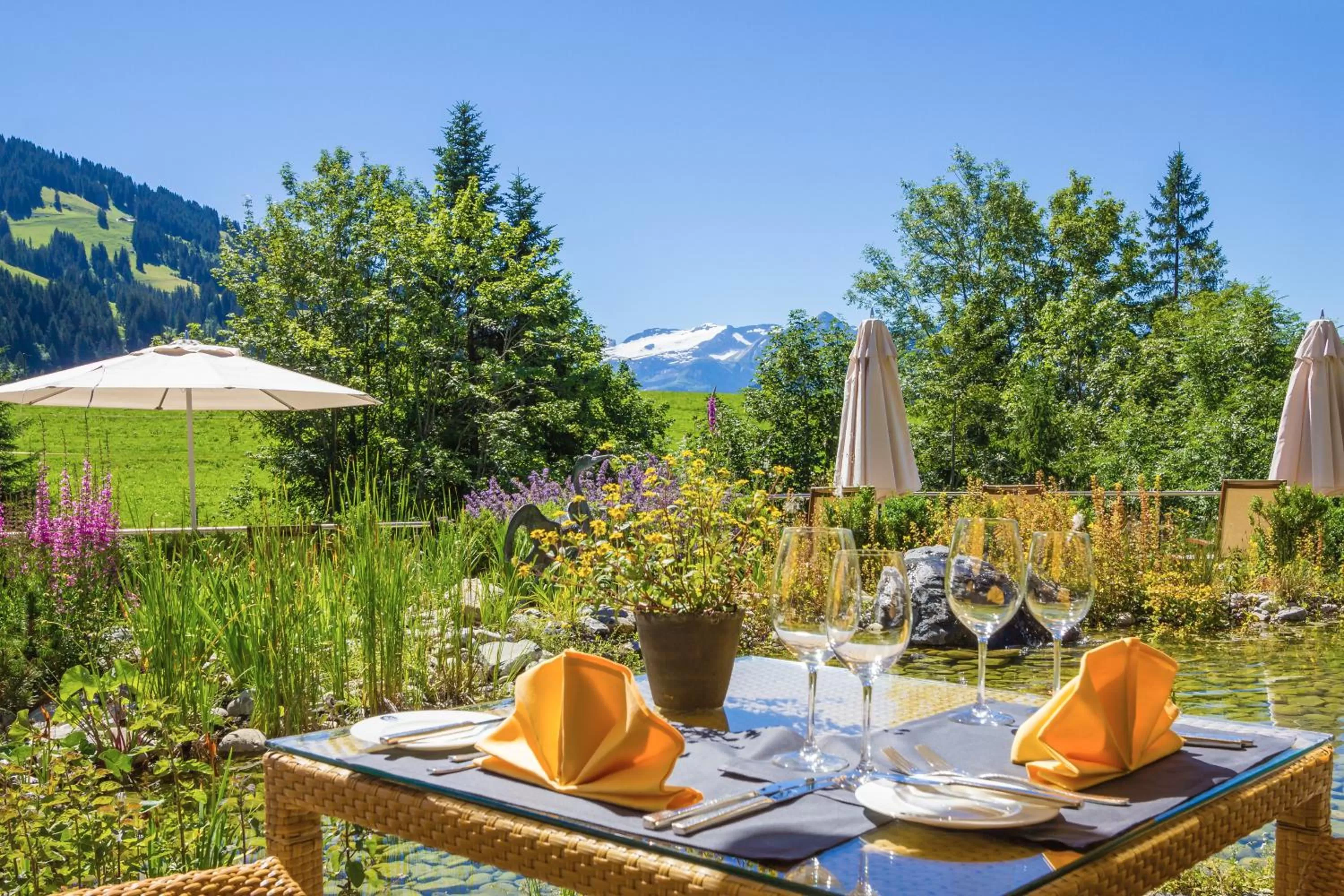 Garden view in ERMITAGE Wellness- & Spa-Hotel