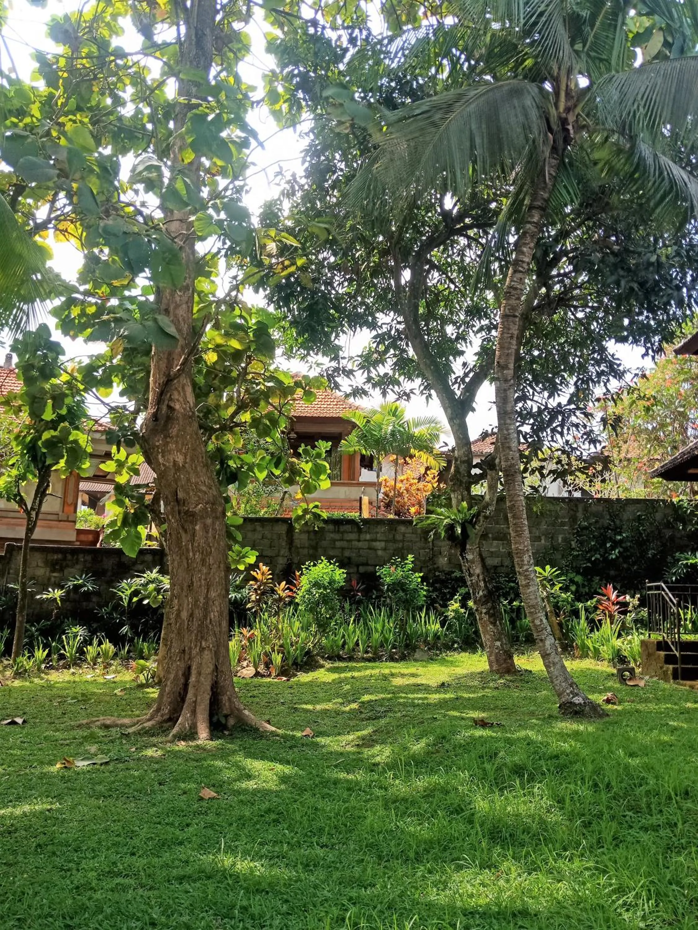 Garden in Argasoka Bungalows