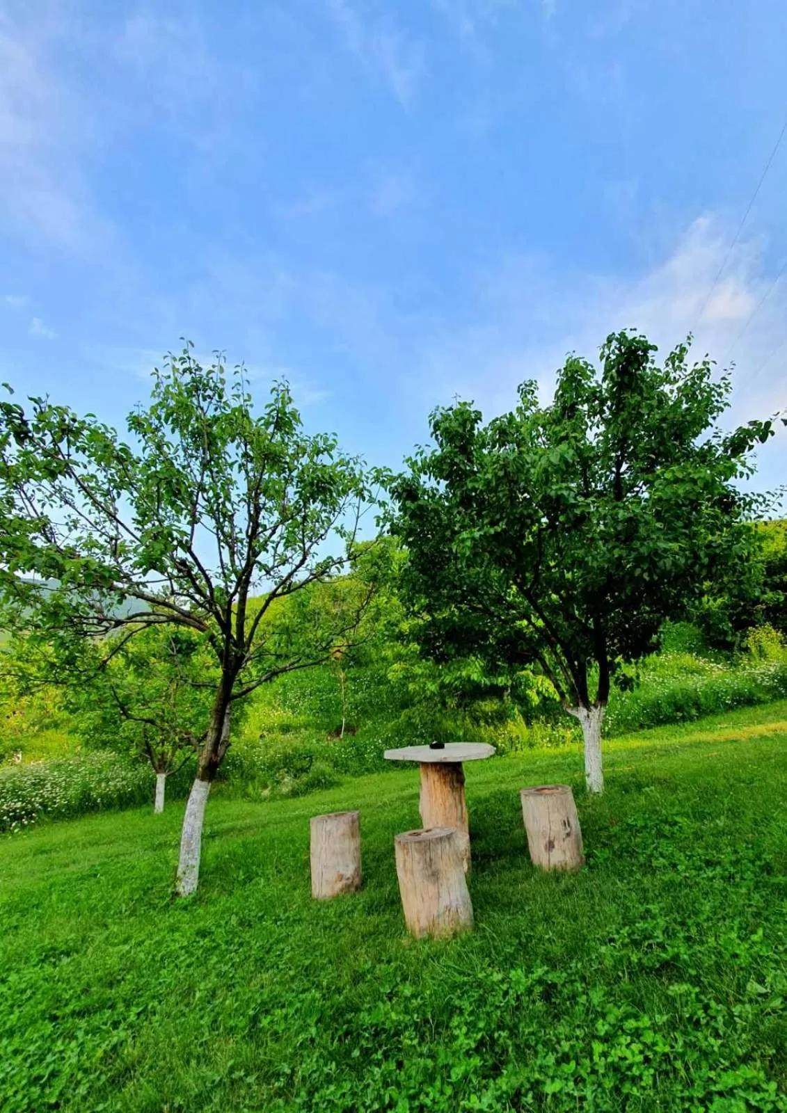Spring, Garden in Guest house Ijevan's Garden