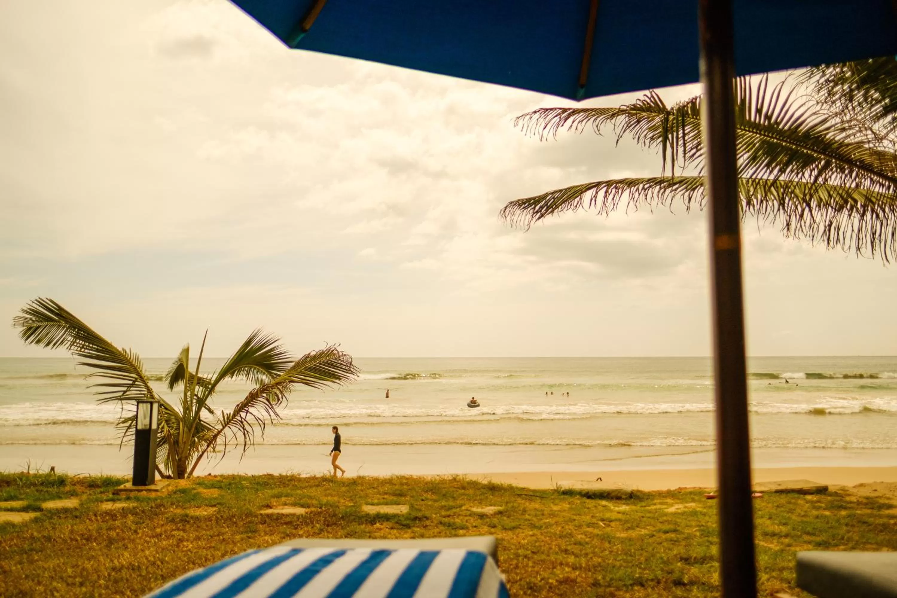 Garden in The Seascape