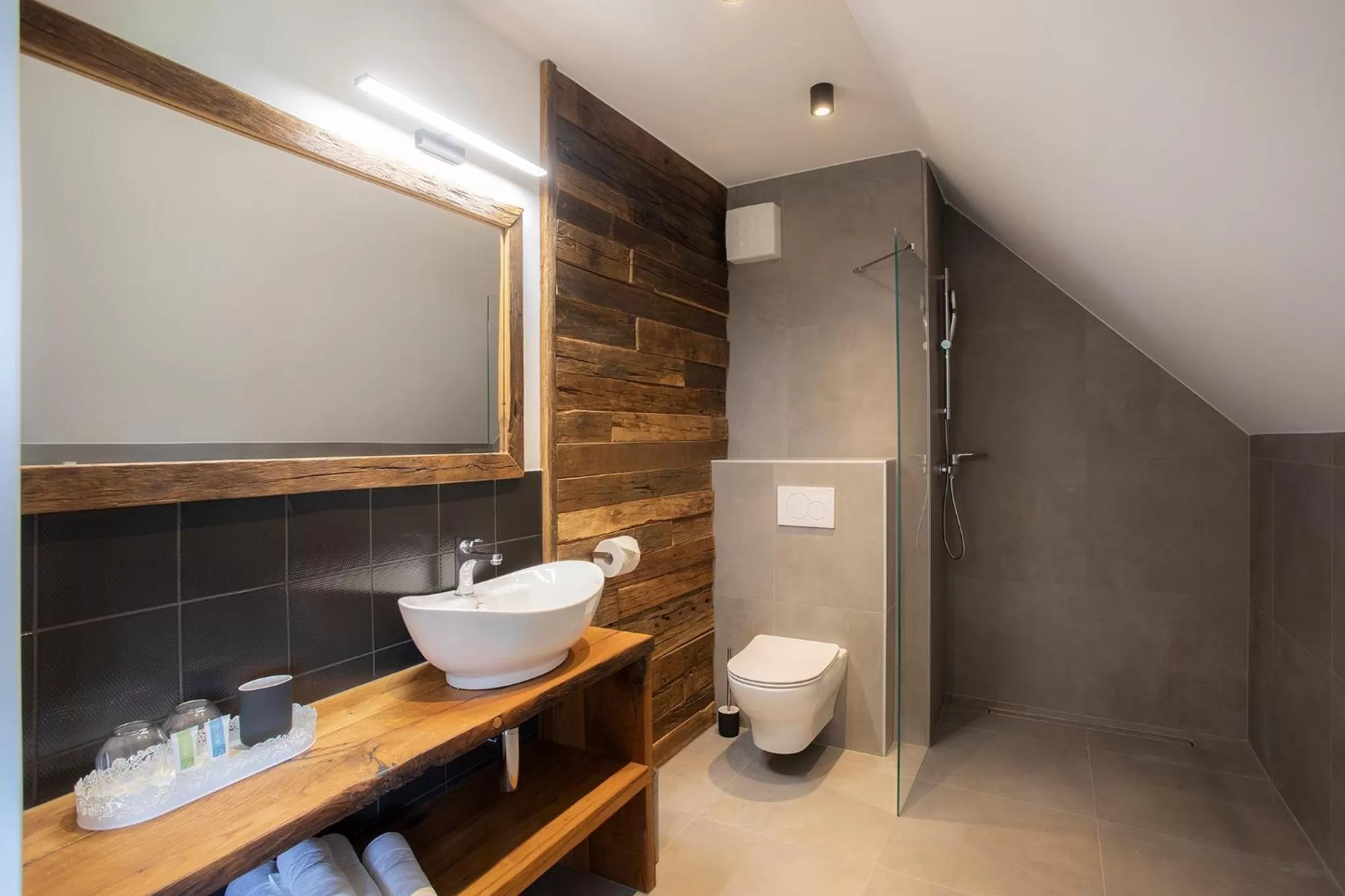 Bathroom in House Troha