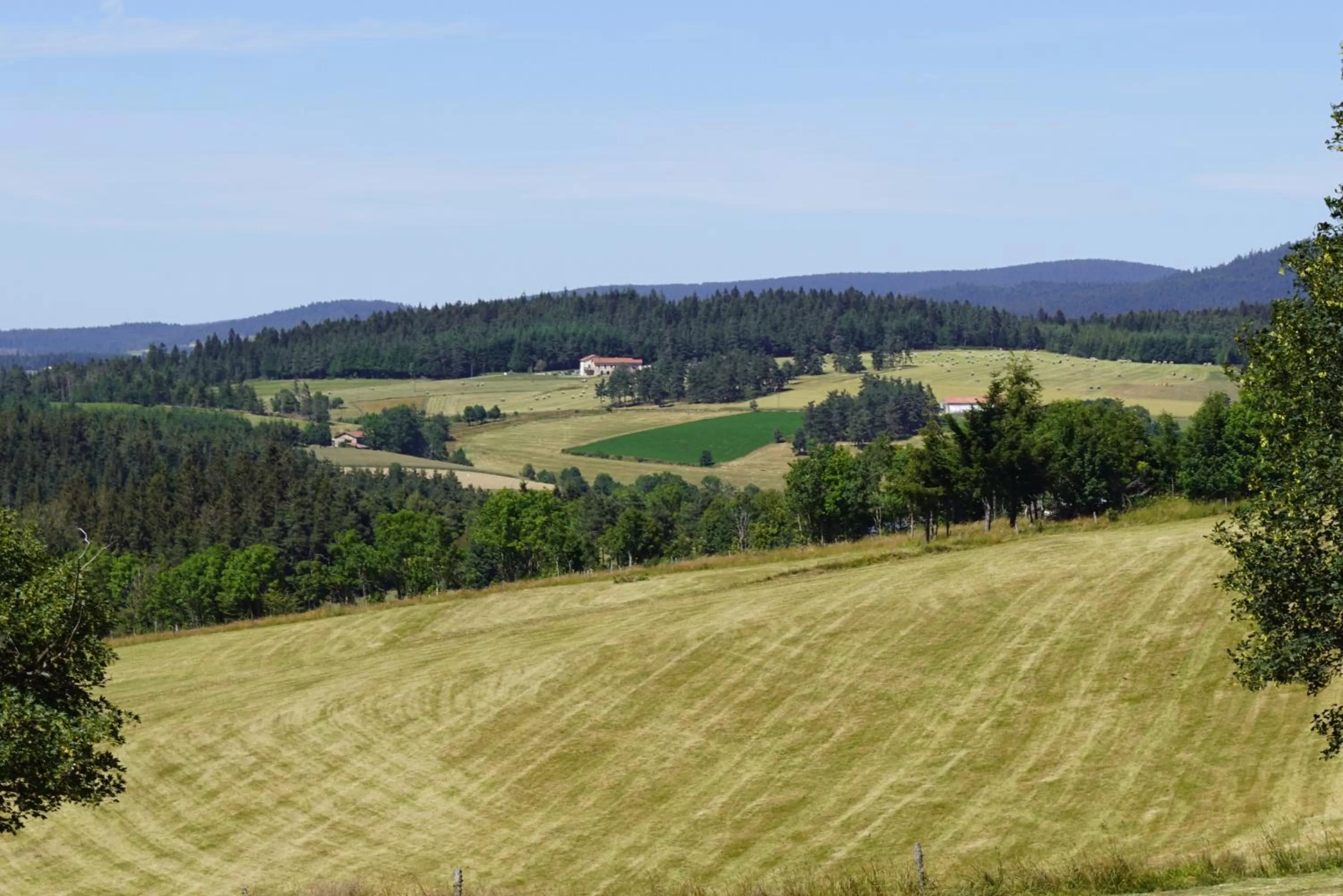 Natural landscape in Auberge des Myrtilles