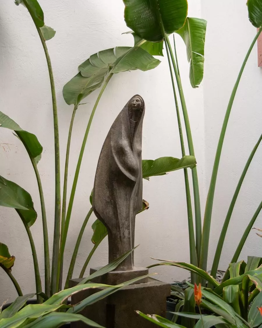 Day in Hotel Catedral