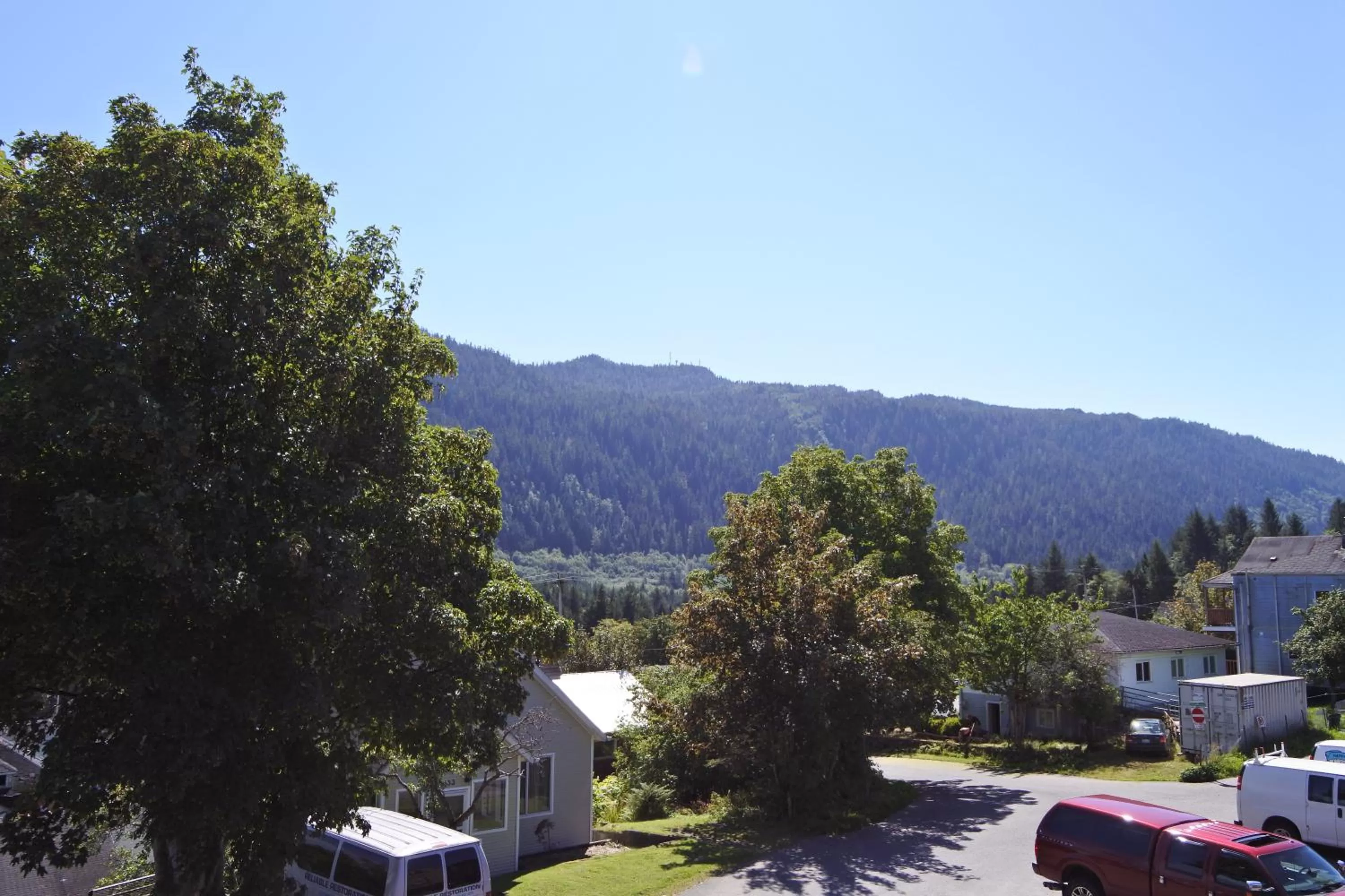 Garden in Black Rooster Guesthouse