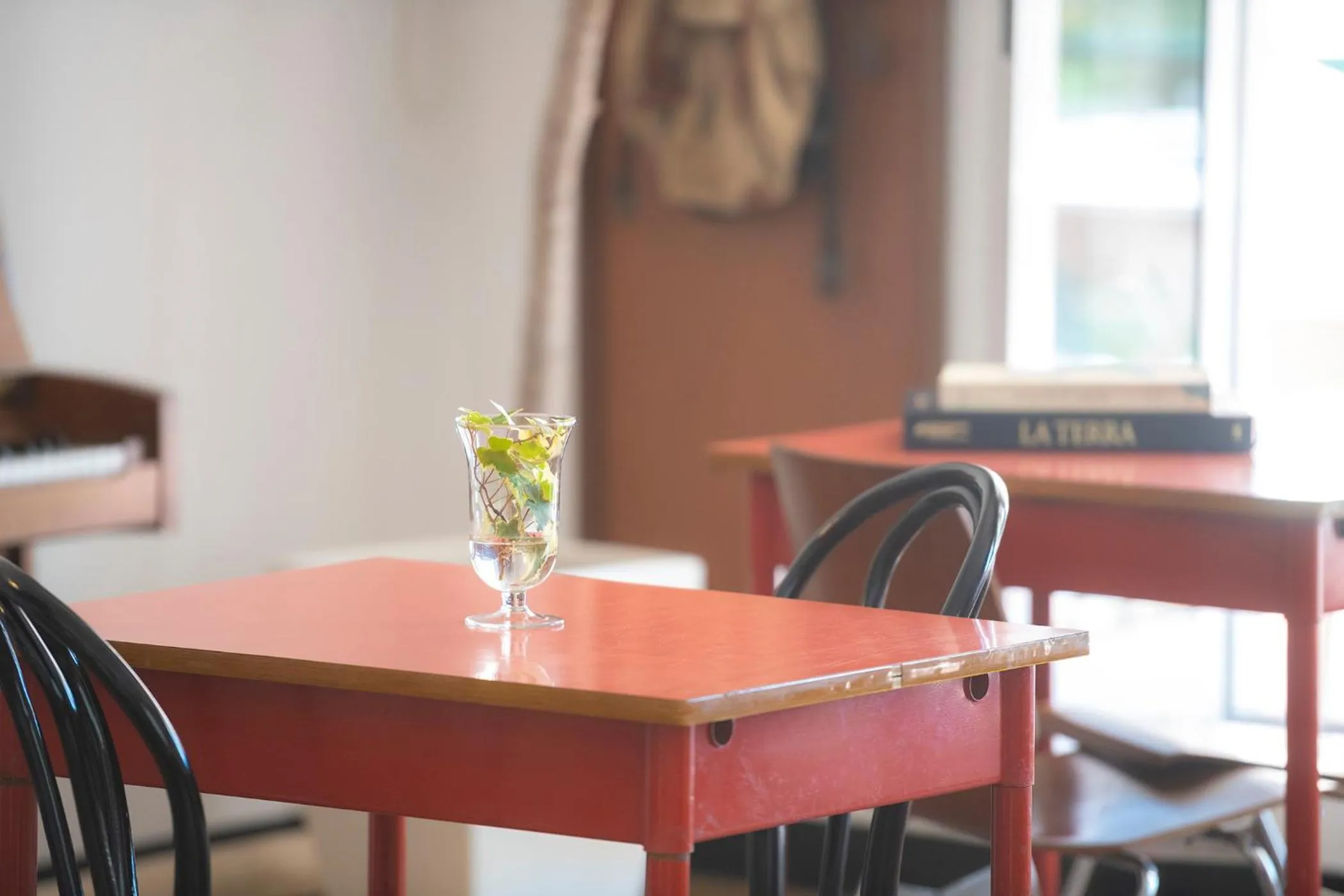 Restaurant/places to eat in Hotel San Michele