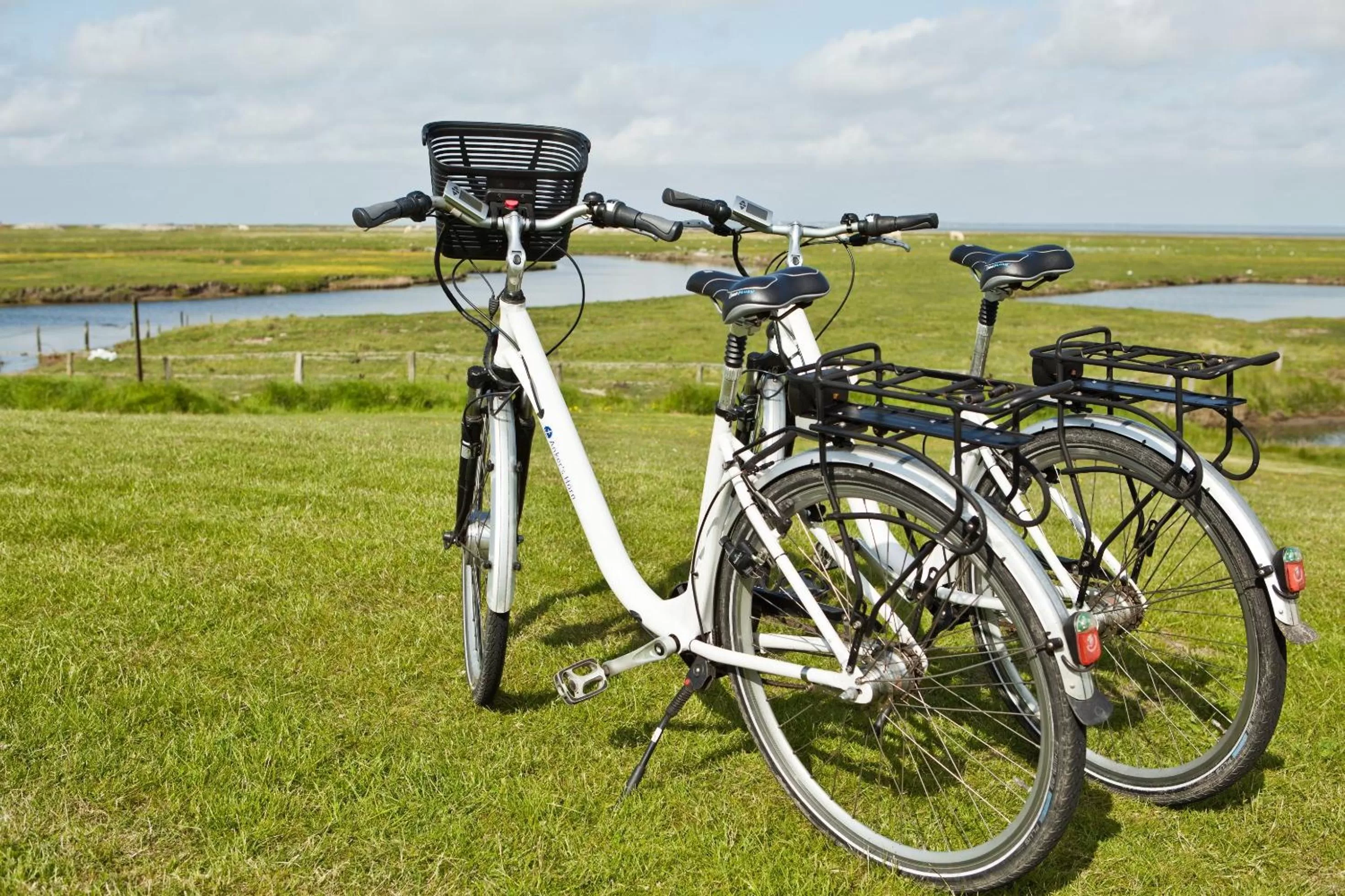 Activities, Biking in Anker's Hörn