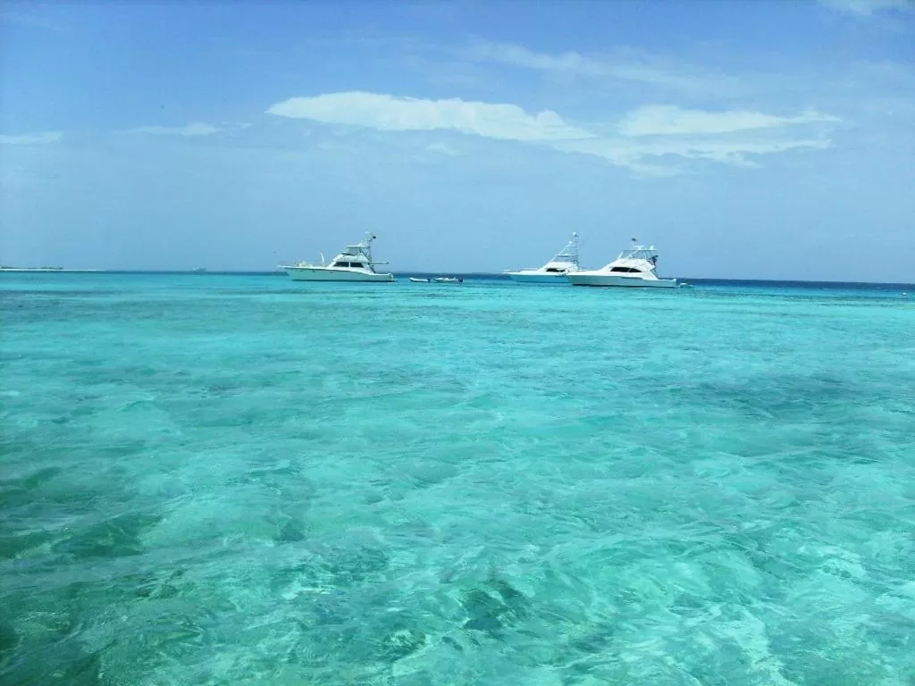 HOTEL MUEVETE POR VARGAS