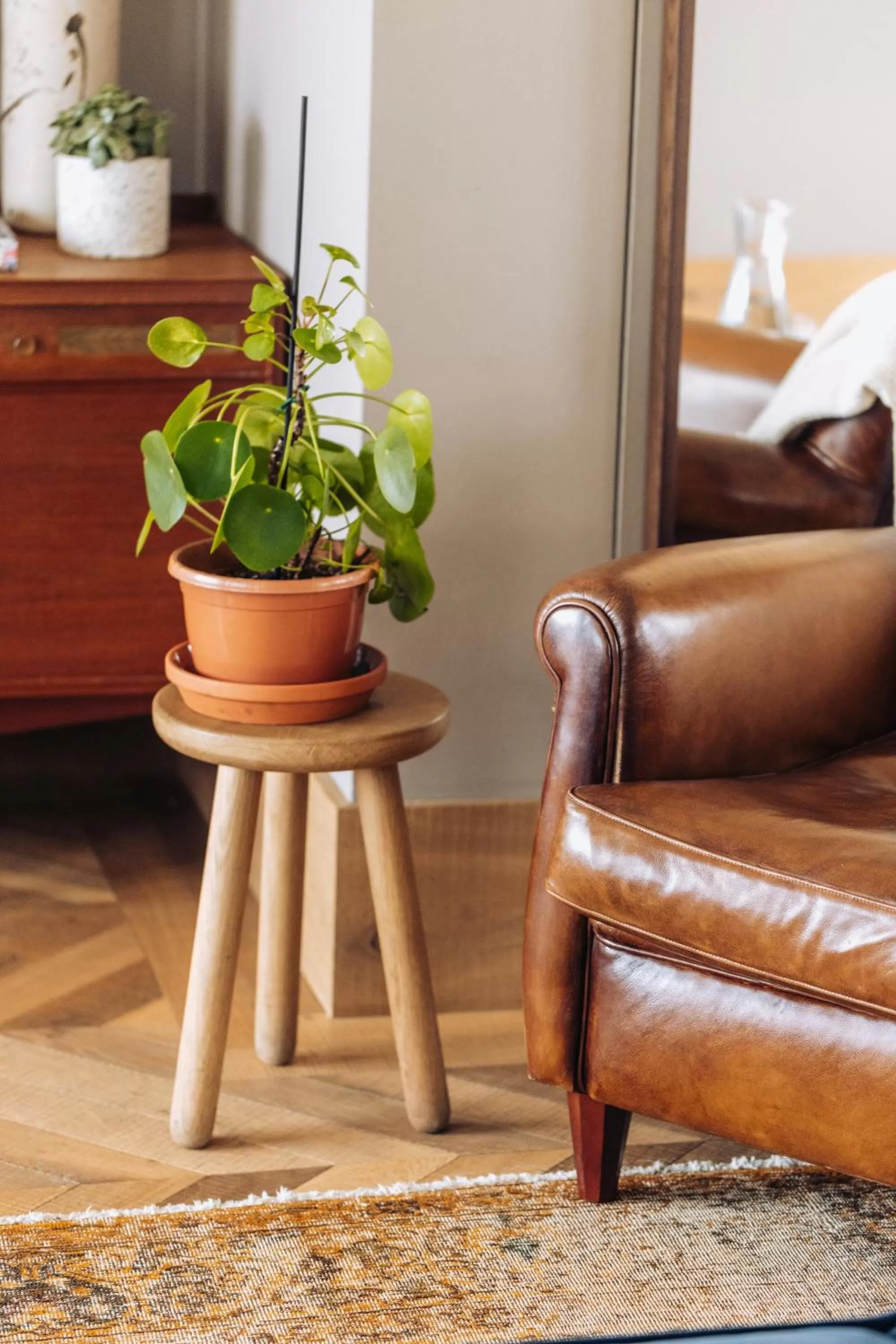 Living room in Native Manchester