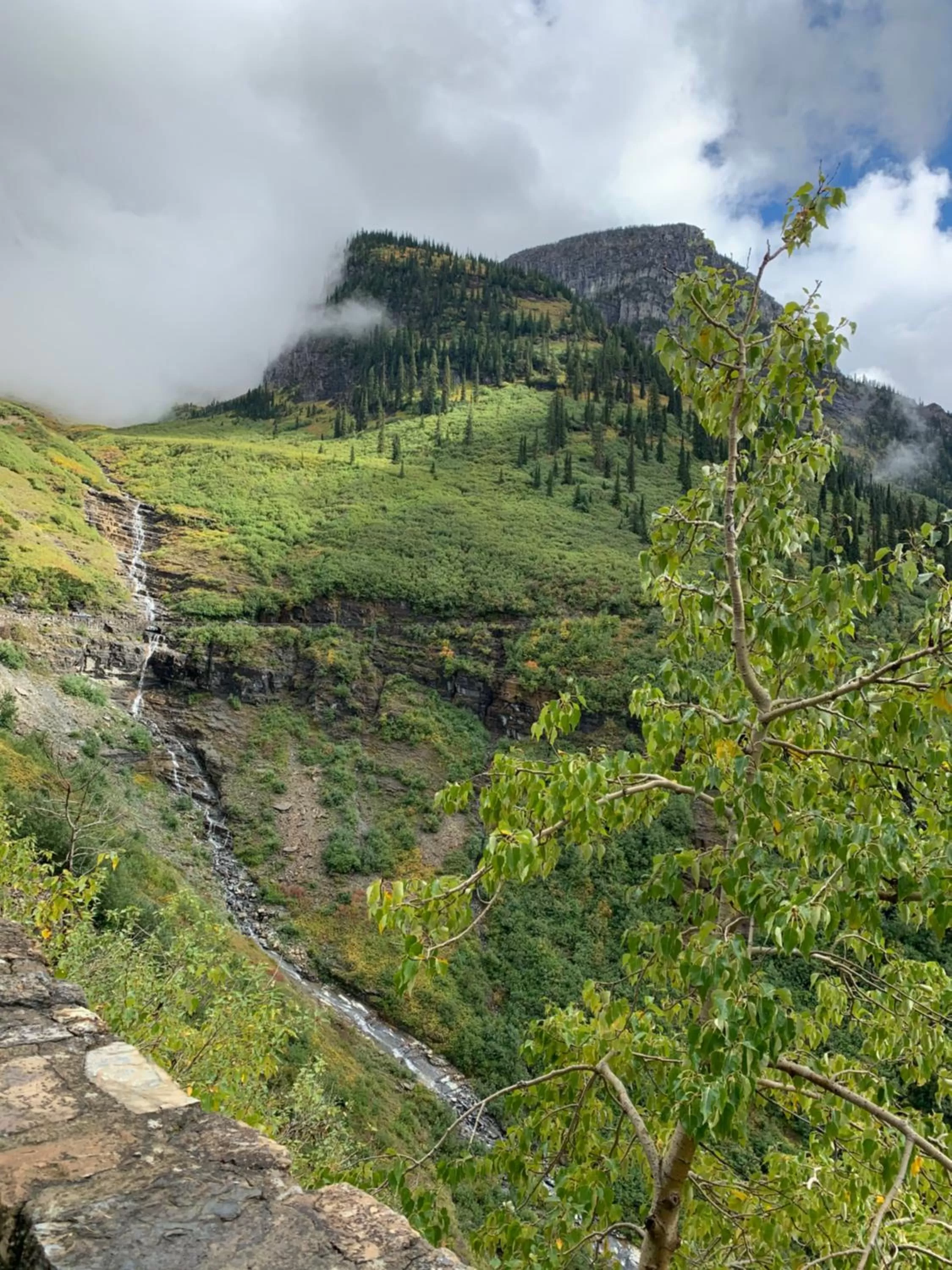Natural landscape in Glacier Haven Inn