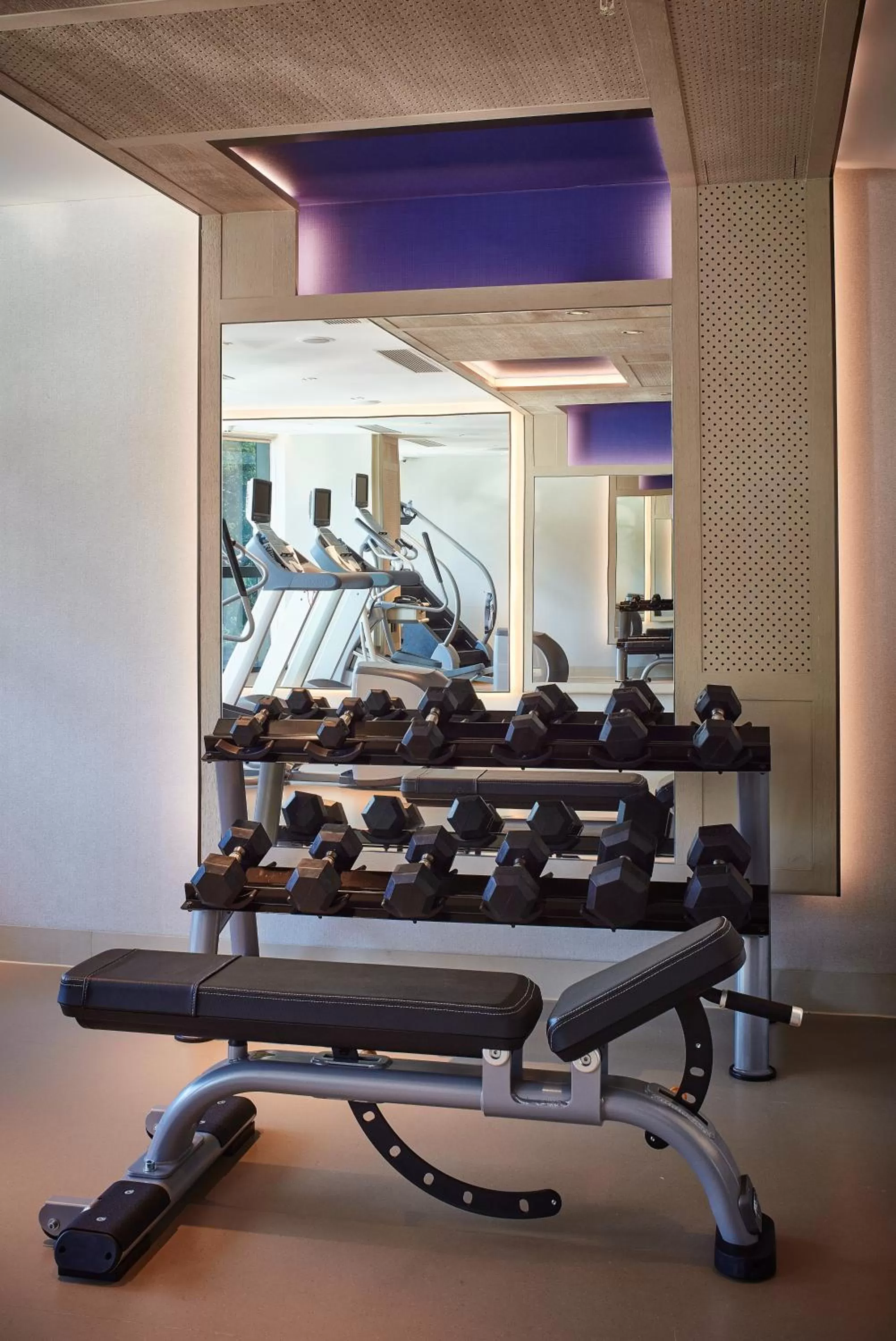 Fitness centre/facilities in The Emperor Hotel