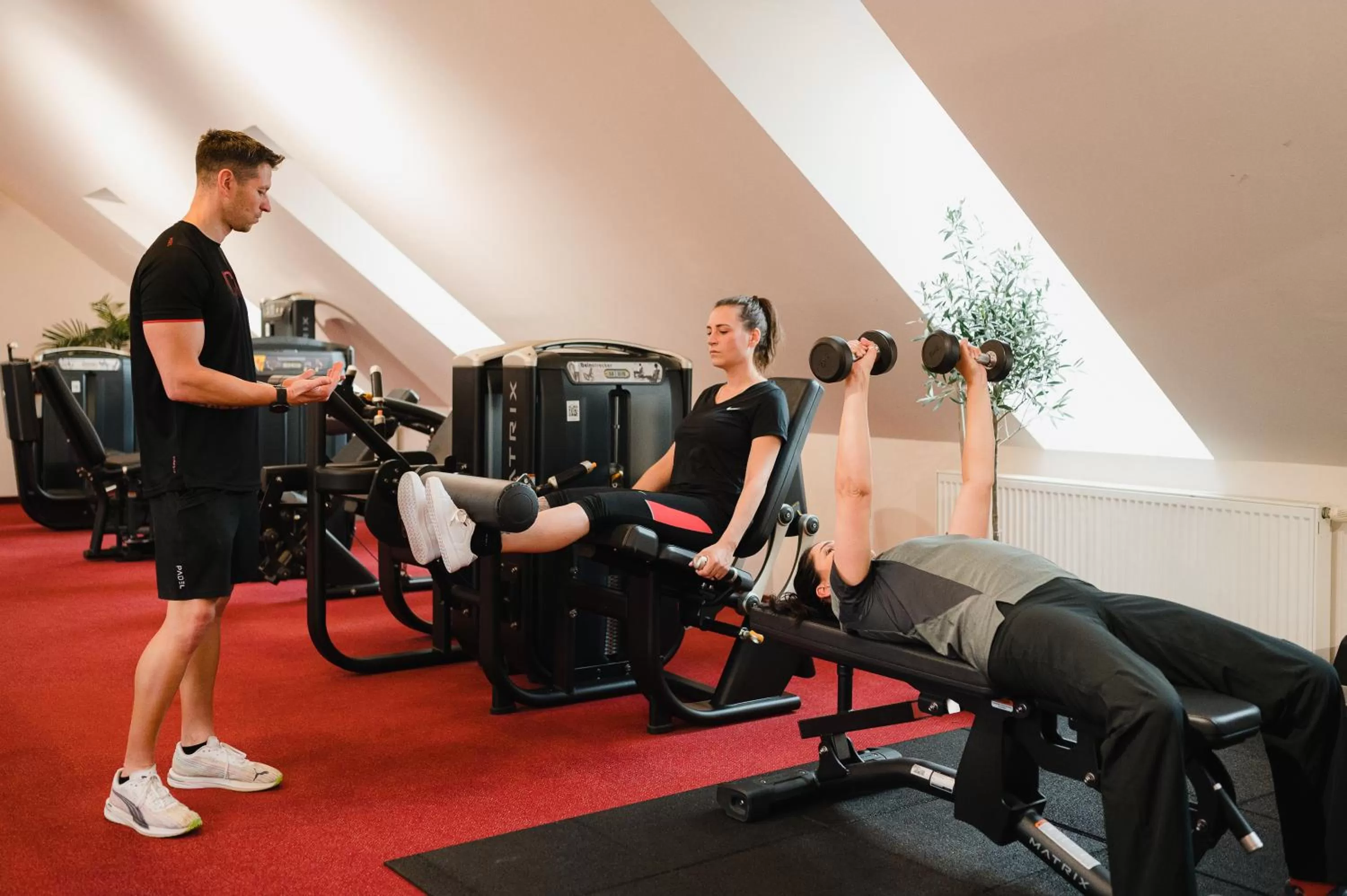 Fitness centre/facilities in Best Western Plus Parkhotel & Spa Cottbus