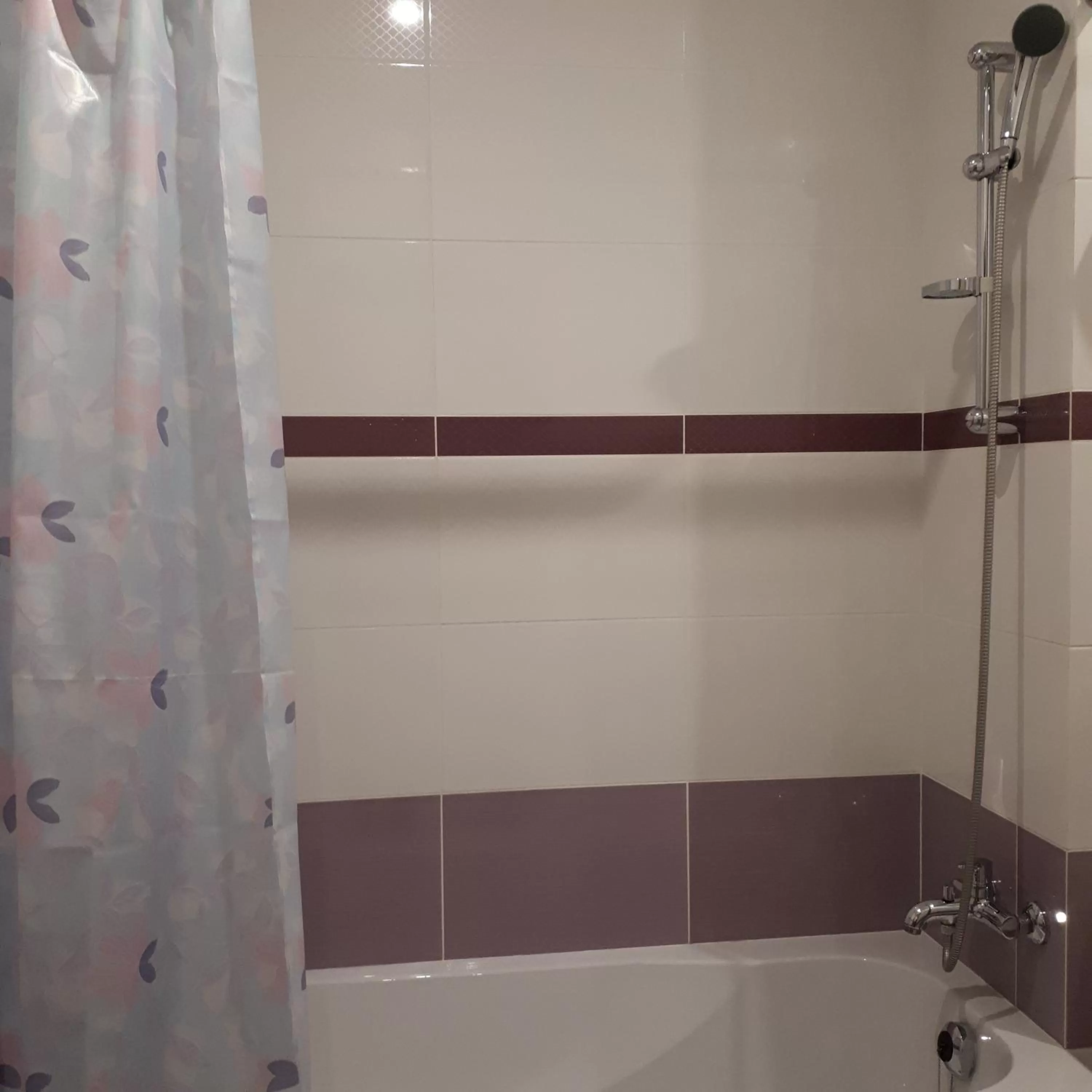 Bathroom in The apartments