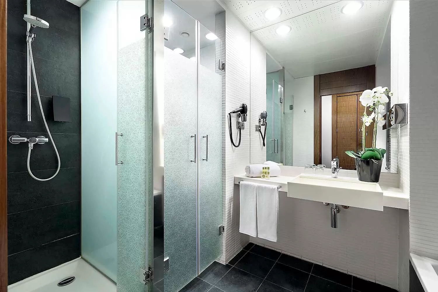 Shower in Eurostars Madrid Congress